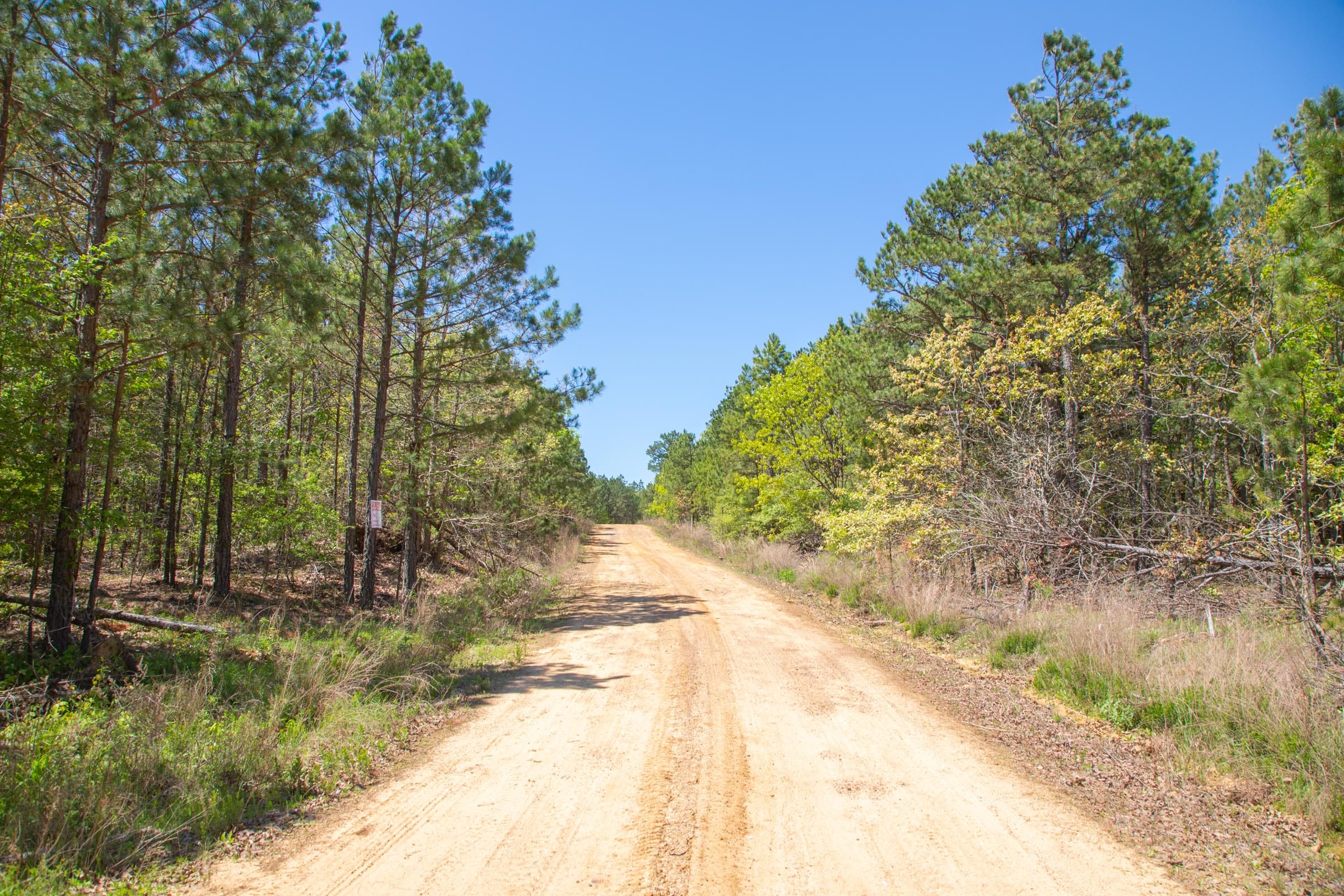 Eagle’s Nest Tract 2 photo 9