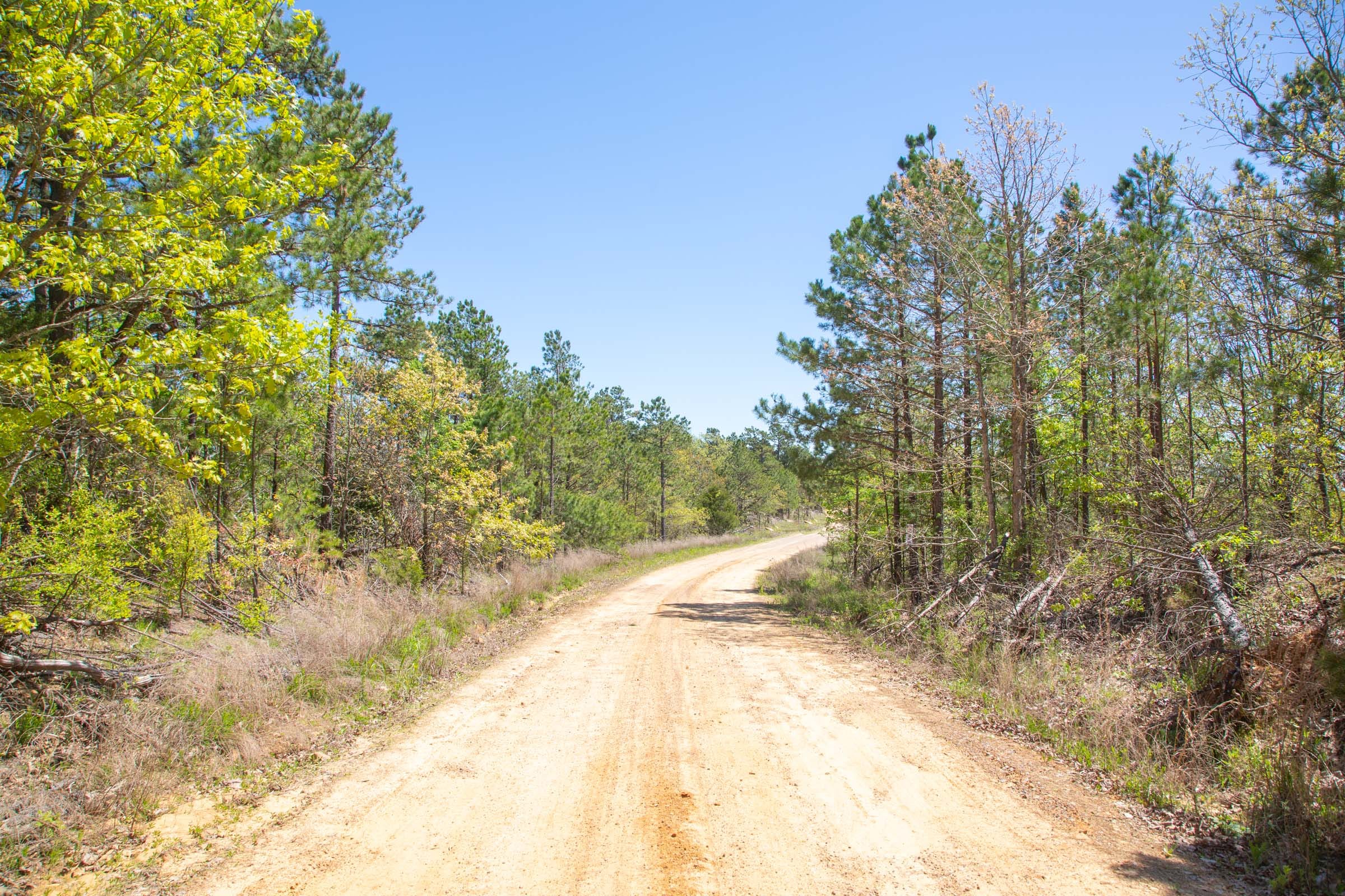 Eagle’s Nest Tract 2 photo 11