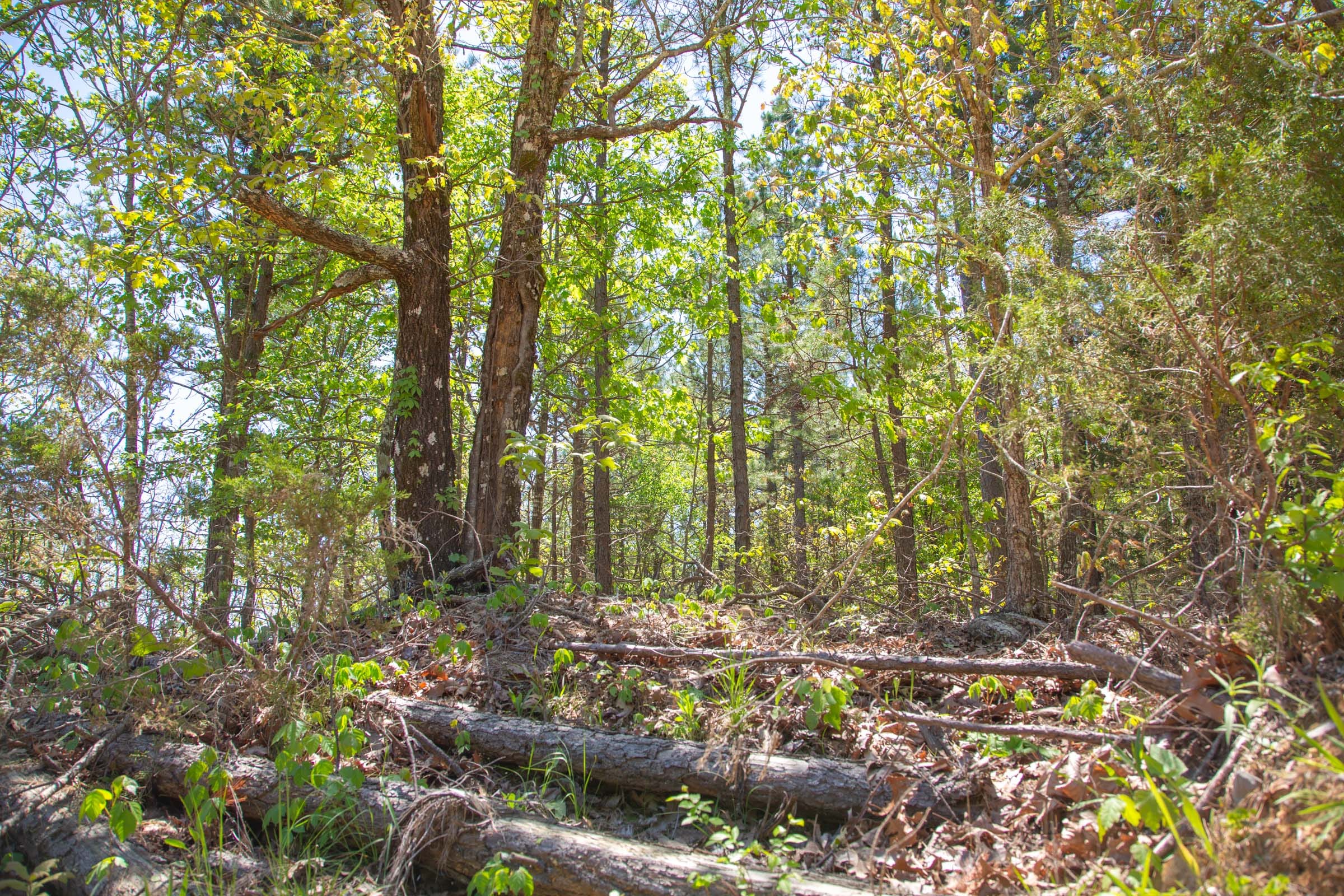 Eagle’s Nest Tract 2 photo 12