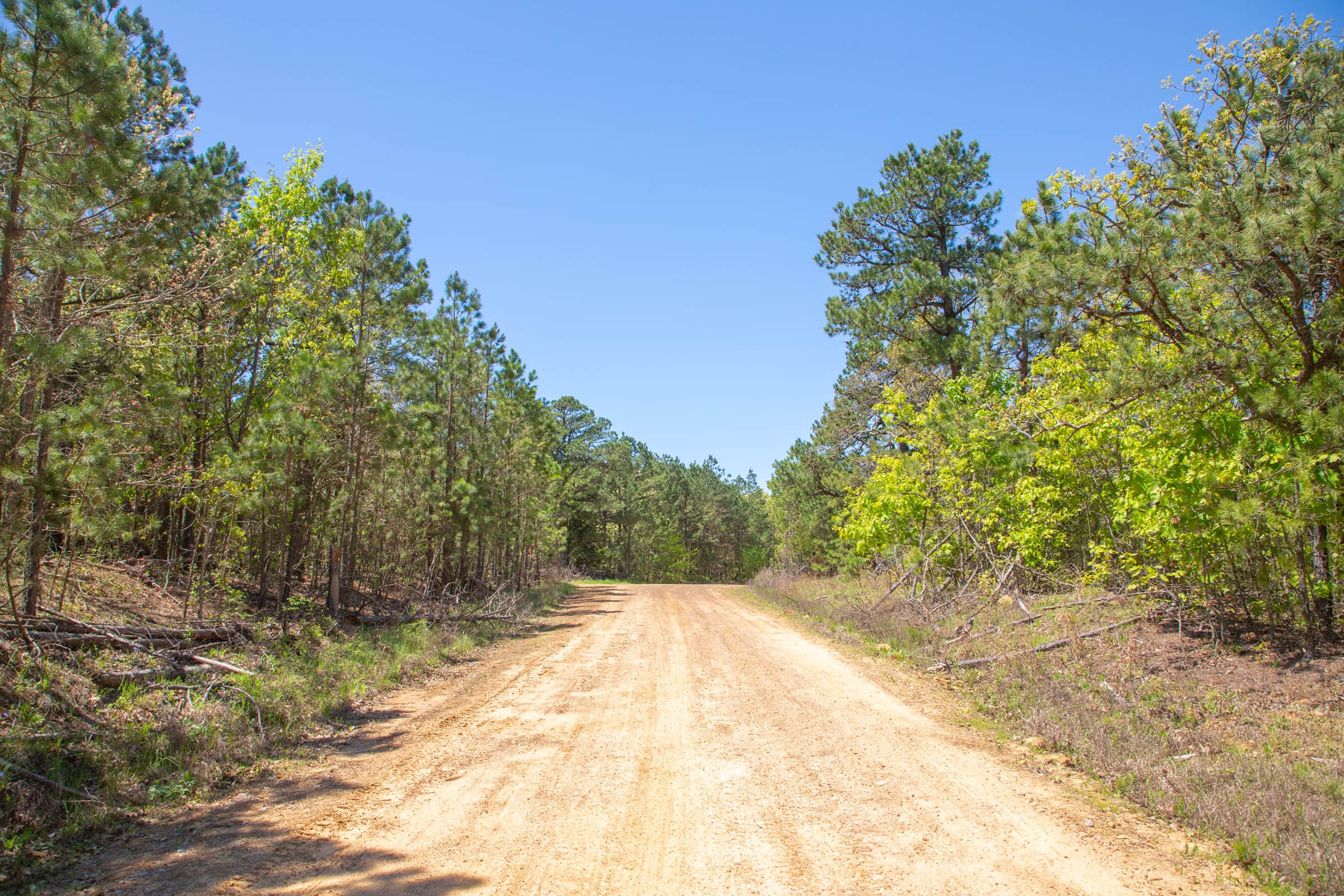 Eagle’s Nest Tract 2 photo 14