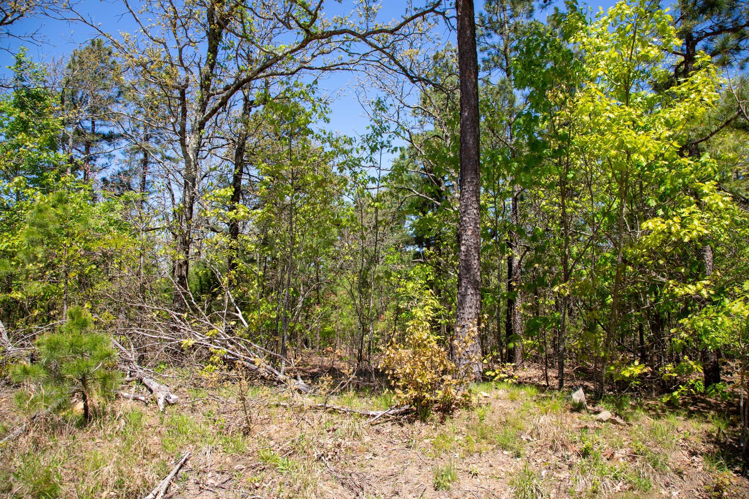 Eagle’s Nest Tract 2 photo 15