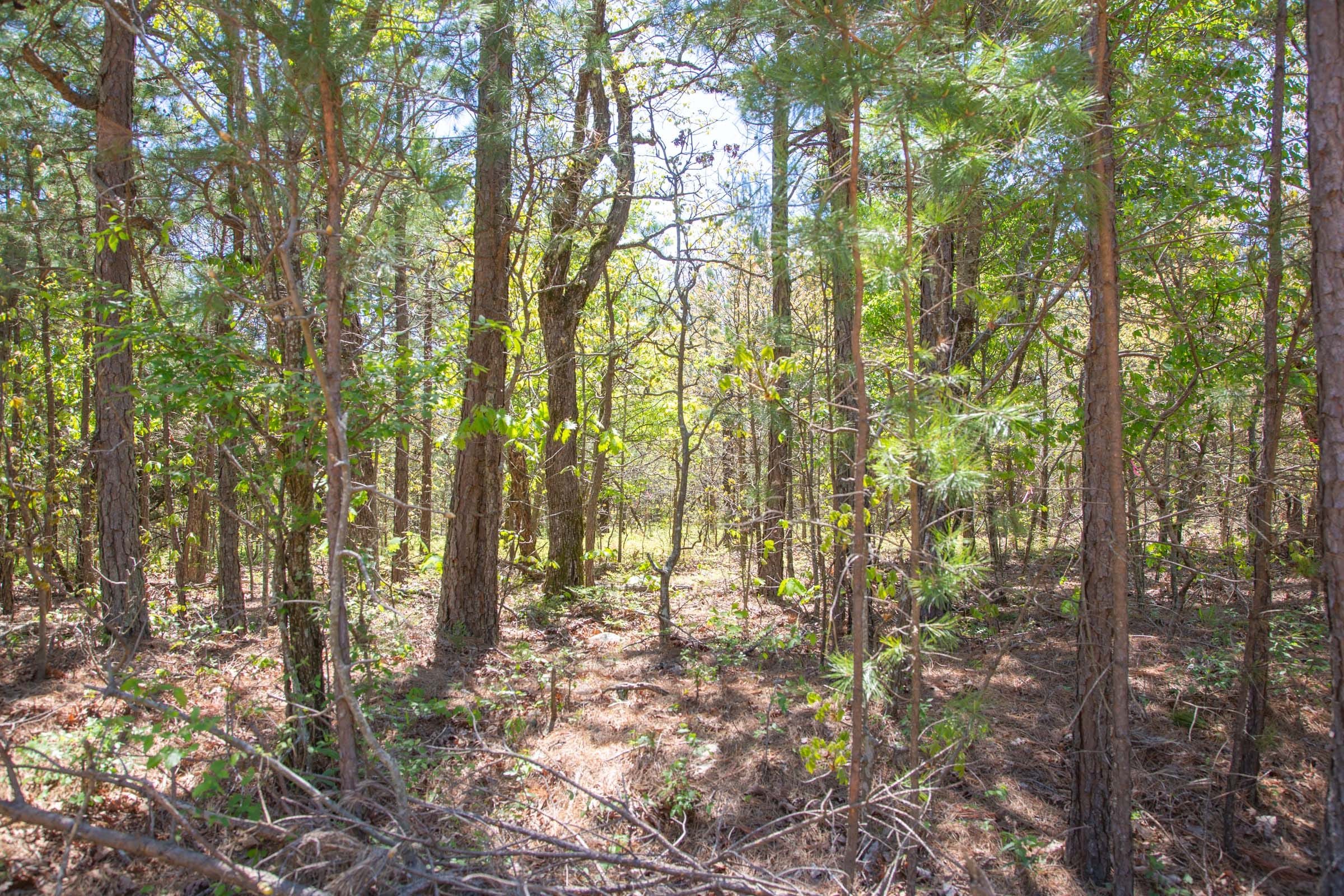Eagle’s Nest Tract 2 photo 16