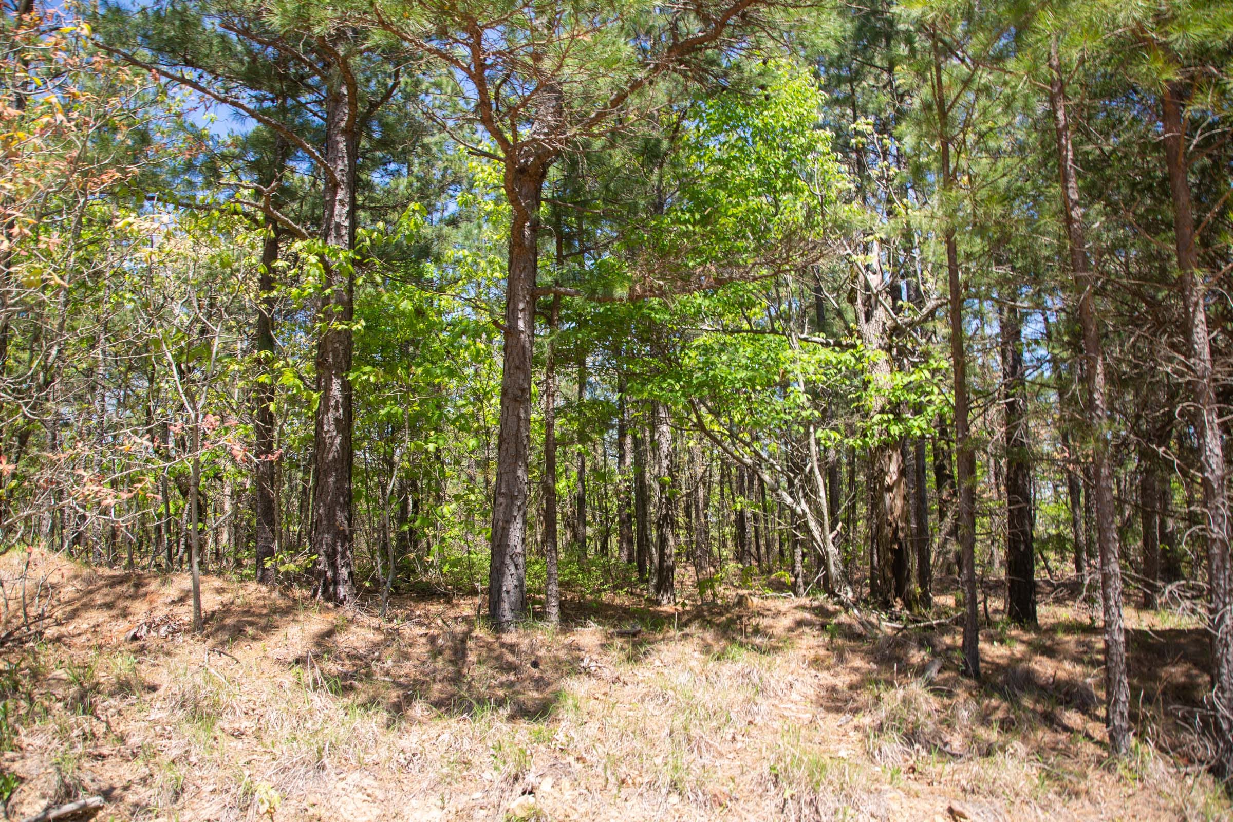 Eagle’s Nest Tract 2 photo 17