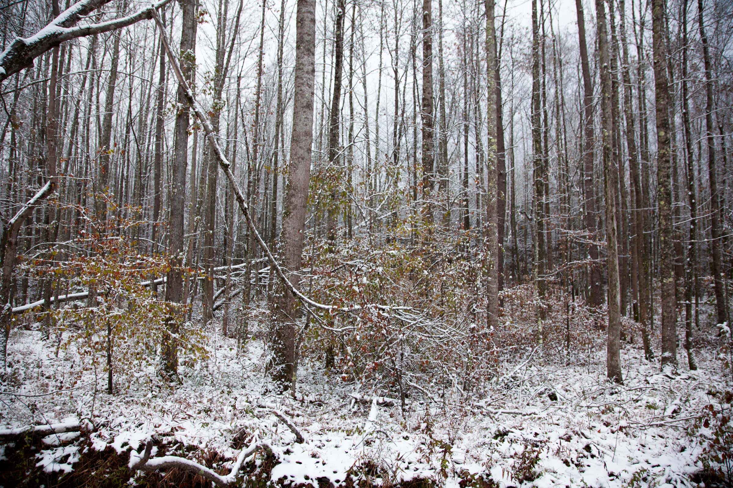 Sweet Water Ranch Tract 20 photo 1