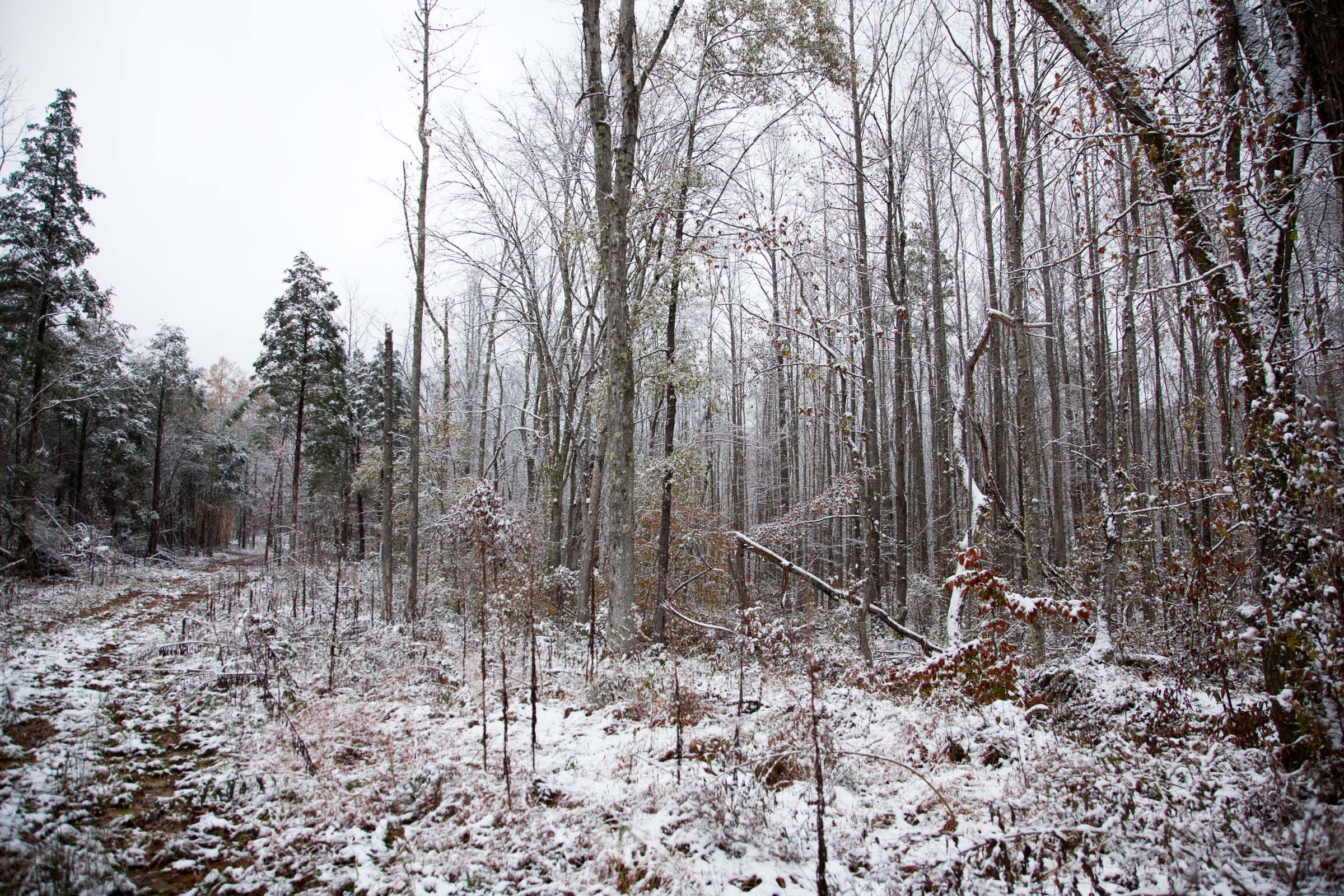 Sweet Water Ranch Tract 20 photo 3