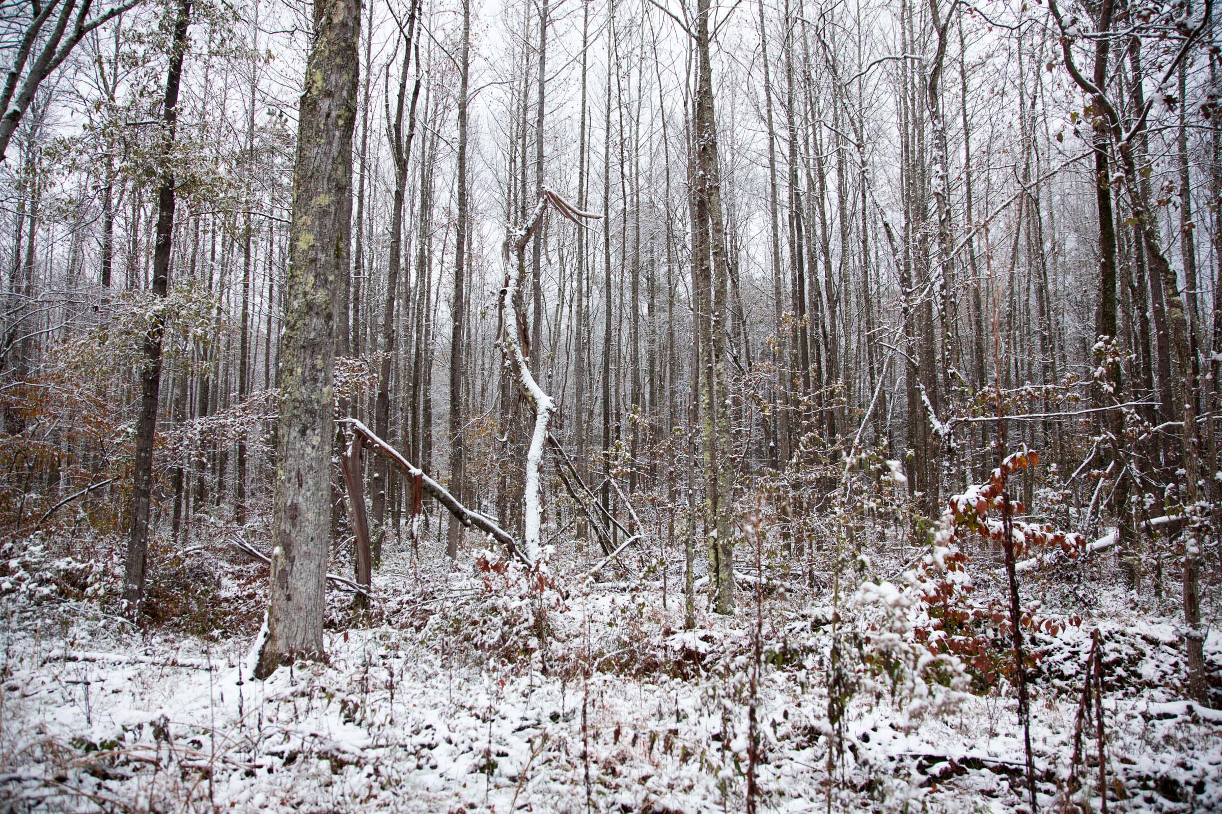 Sweet Water Ranch Tract 20 photo 4