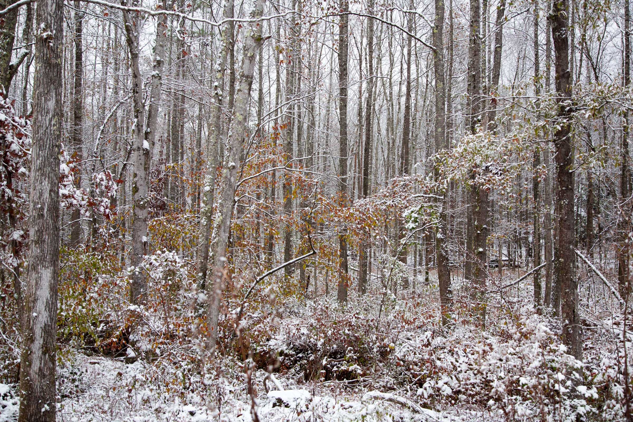 Sweet Water Ranch Tract 20 photo 5