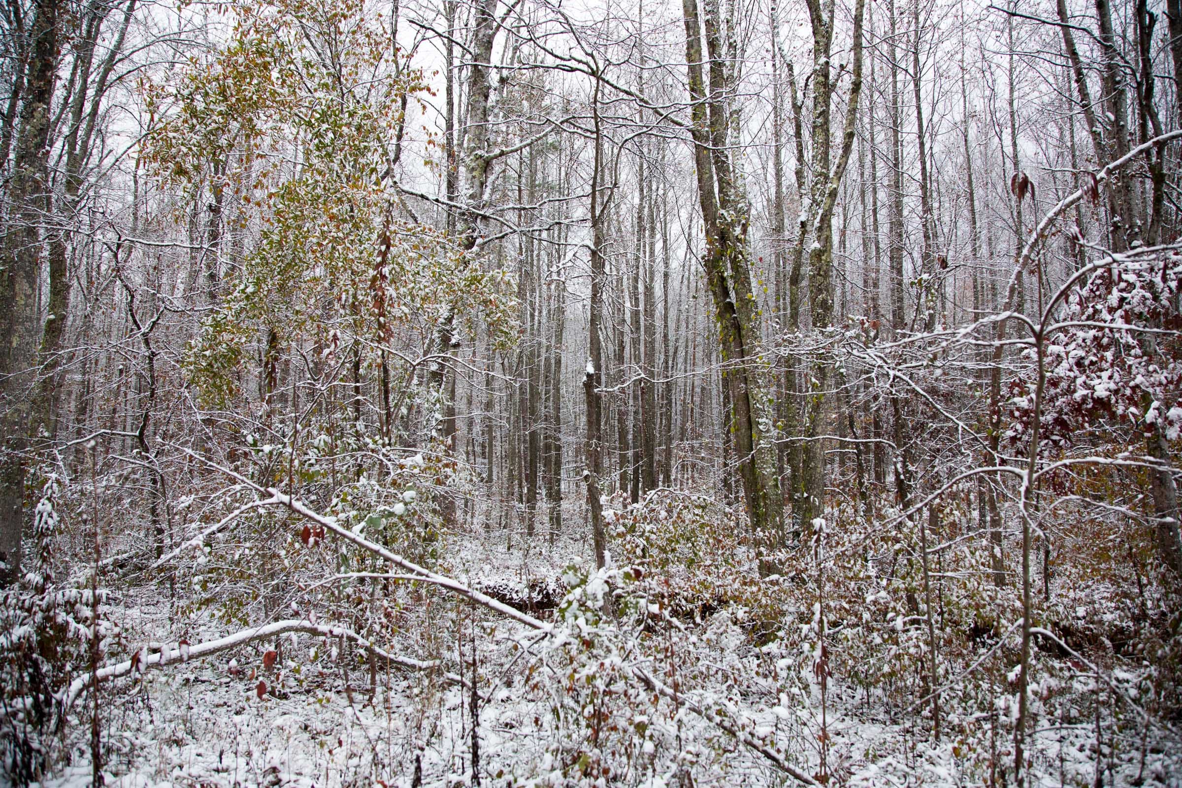 Sweet Water Ranch Tract 20 photo 6