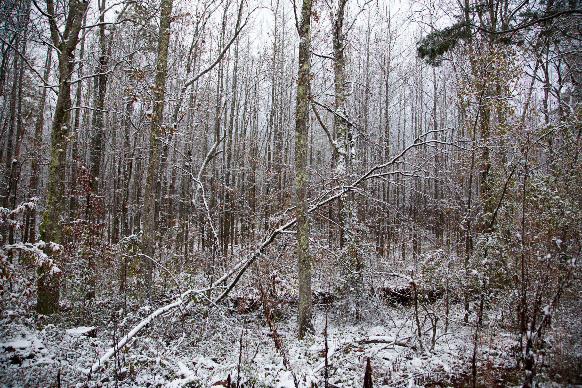 Sweet Water Ranch Tract 20 photo 8