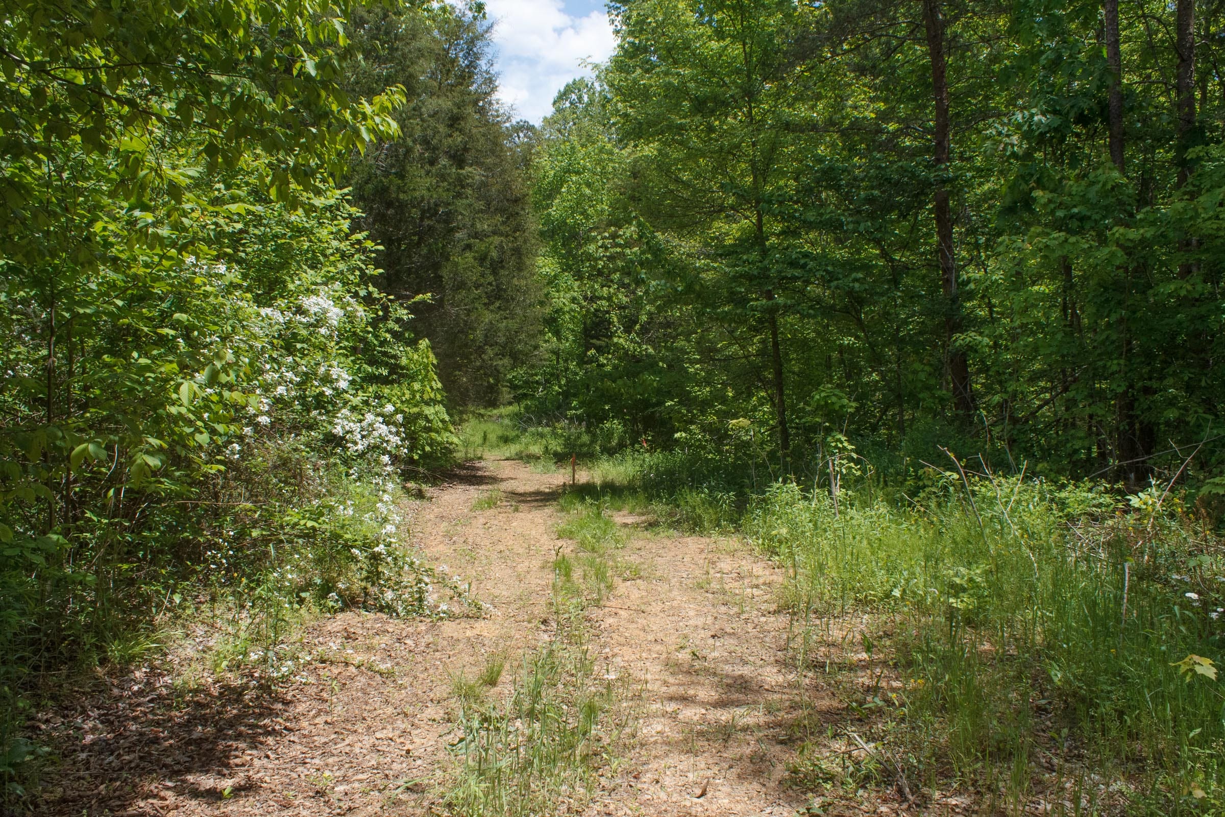 Riverbend Tract 23 photo 1