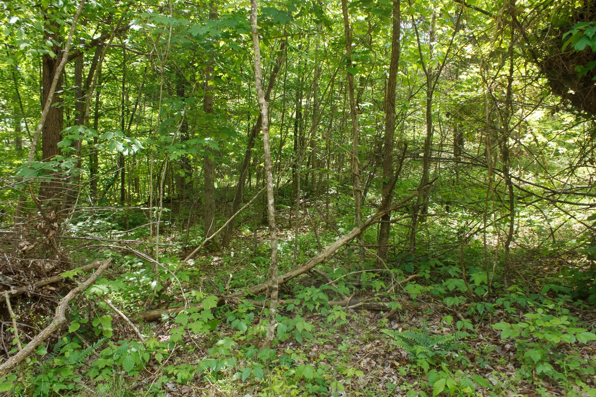 Riverbend Tract 23 photo 2