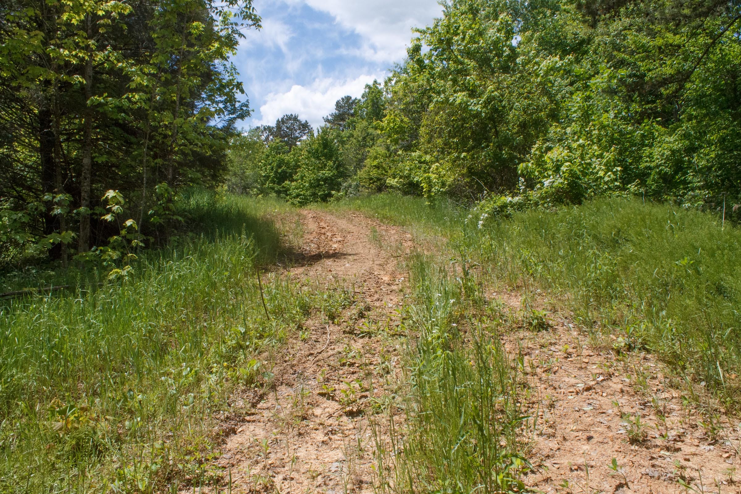 Riverbend Tract 23 photo 3
