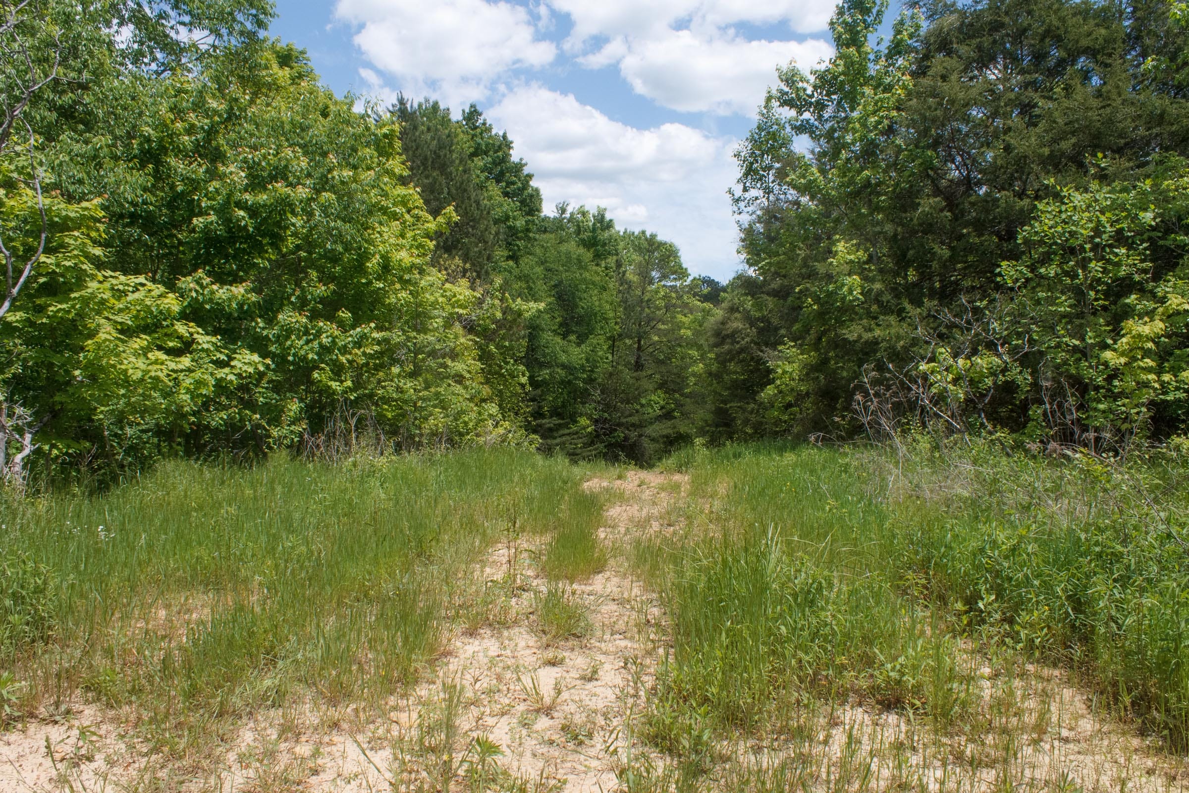 Riverbend Tract 23 photo 5