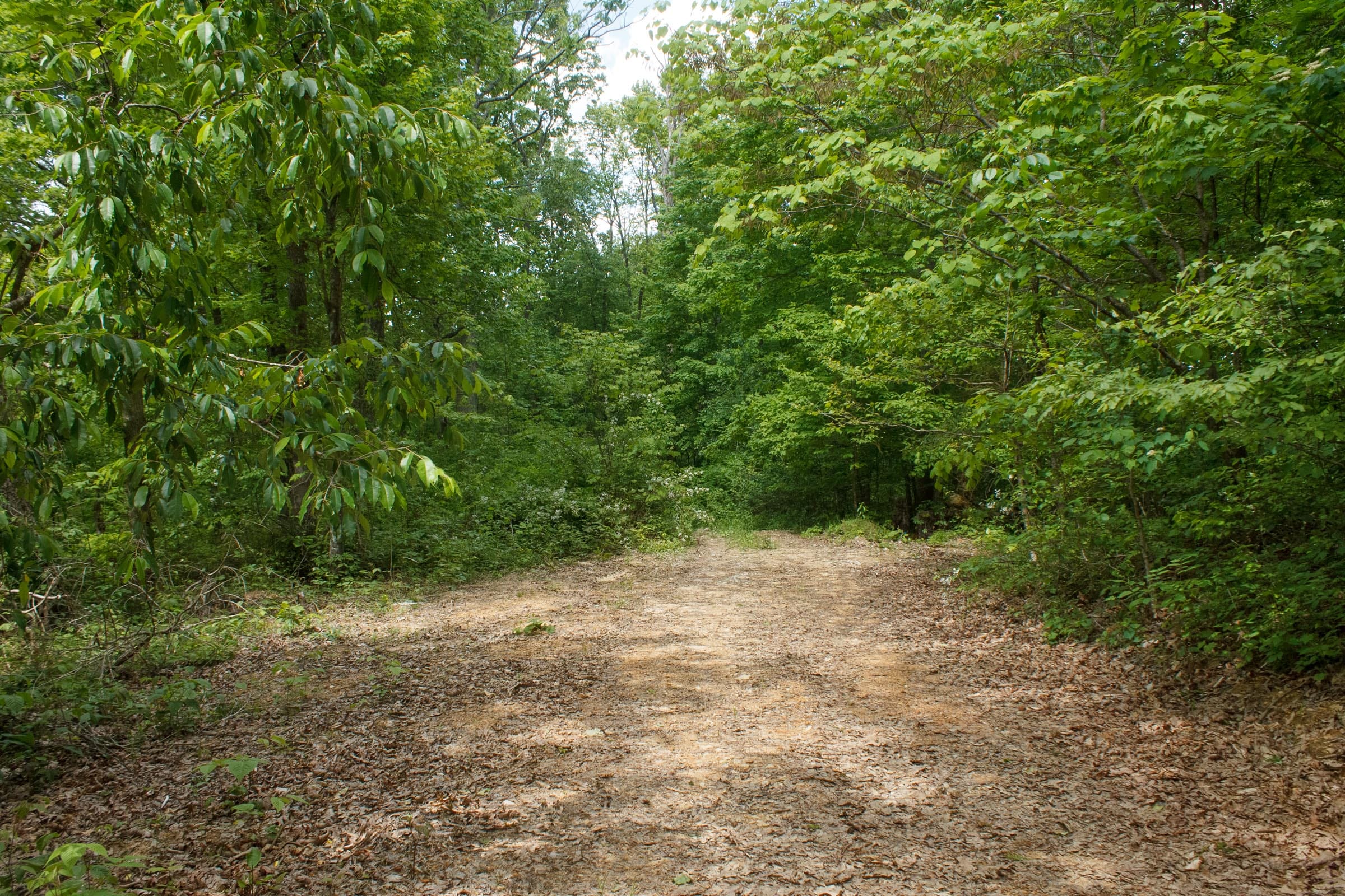 Riverbend Tract 23 photo 6