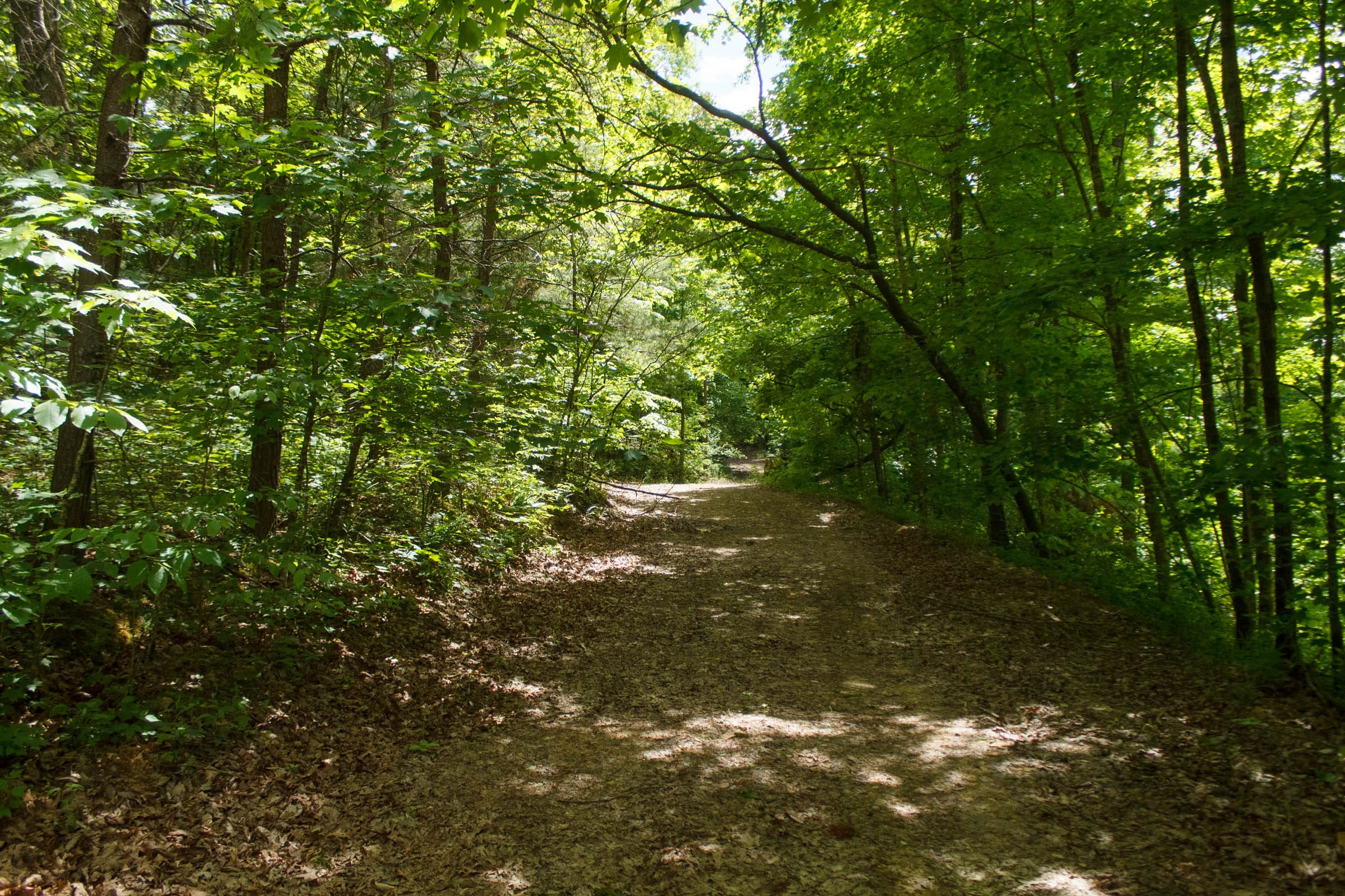 Riverbend Tract 23 photo 9
