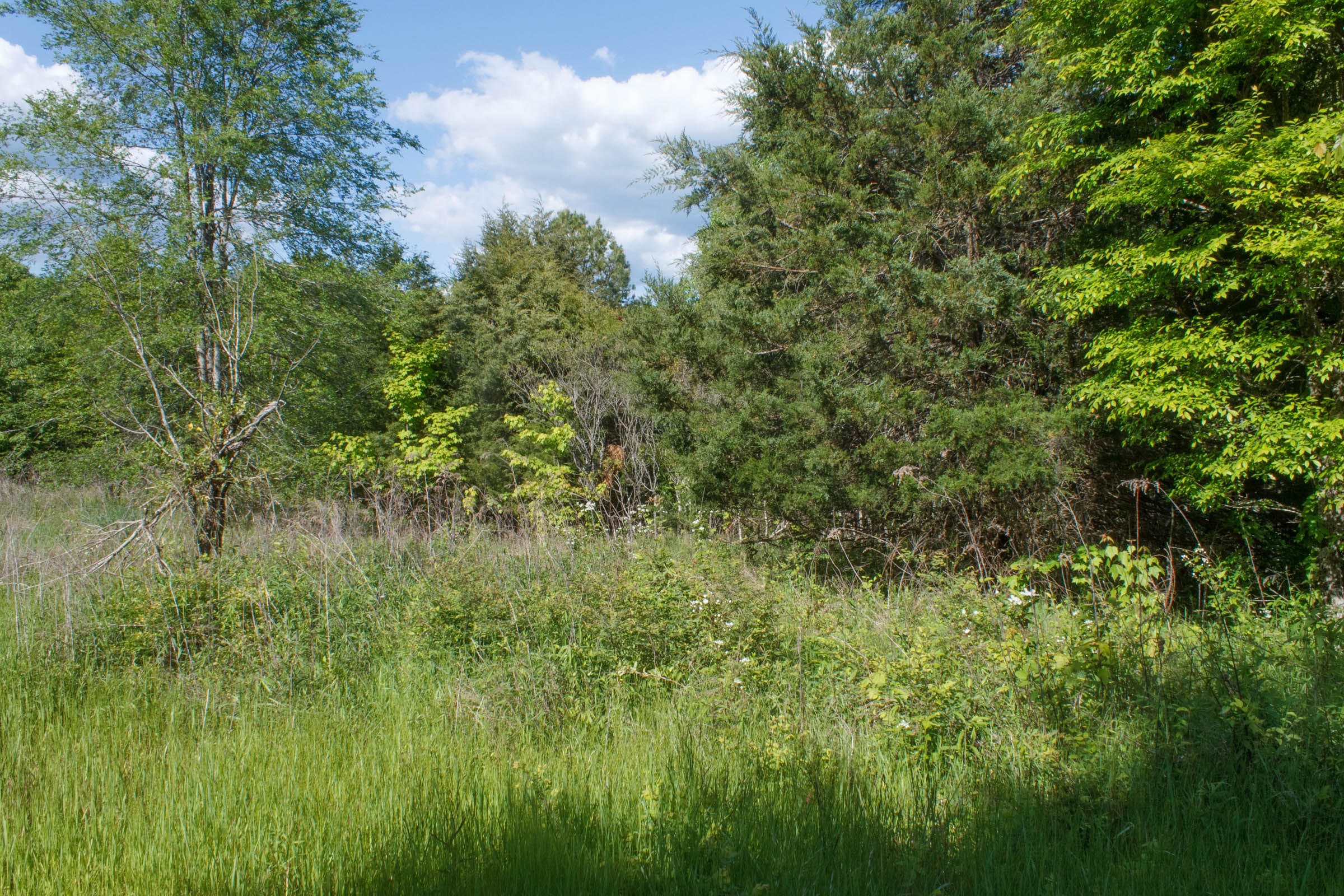 Riverbend Tract 23 photo 10