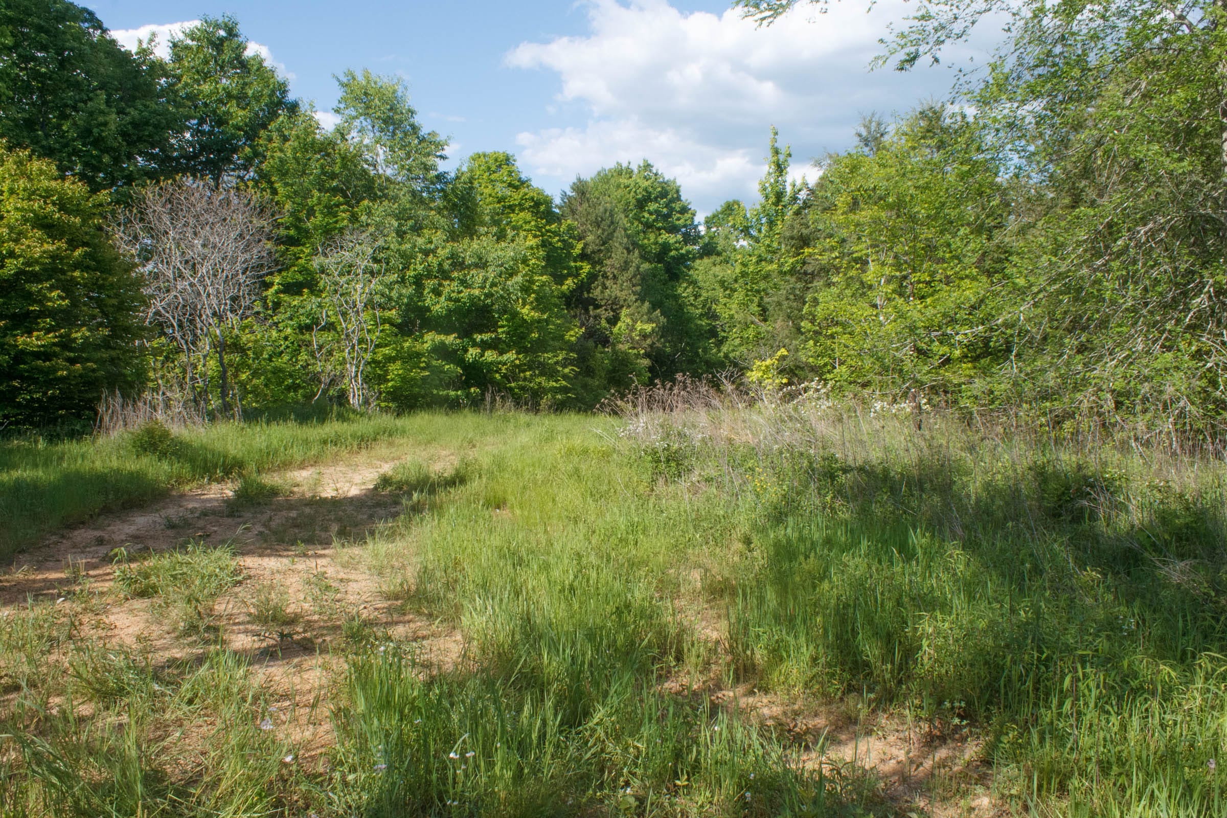 Riverbend Tract 23 photo 11