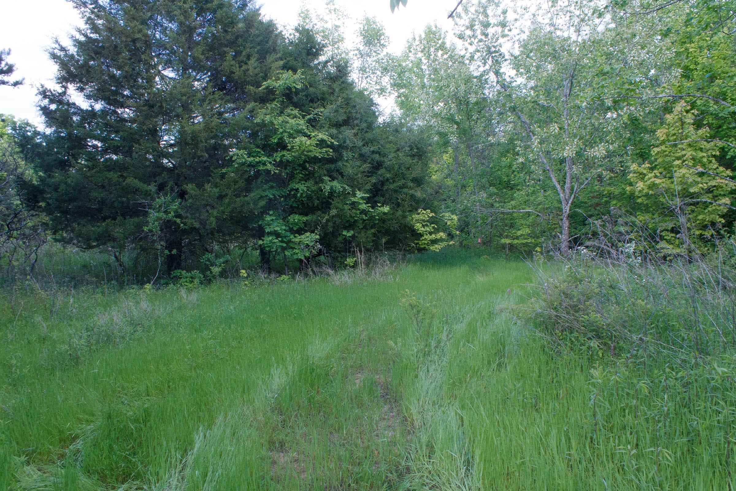 Riverbend Tract 23 photo 12