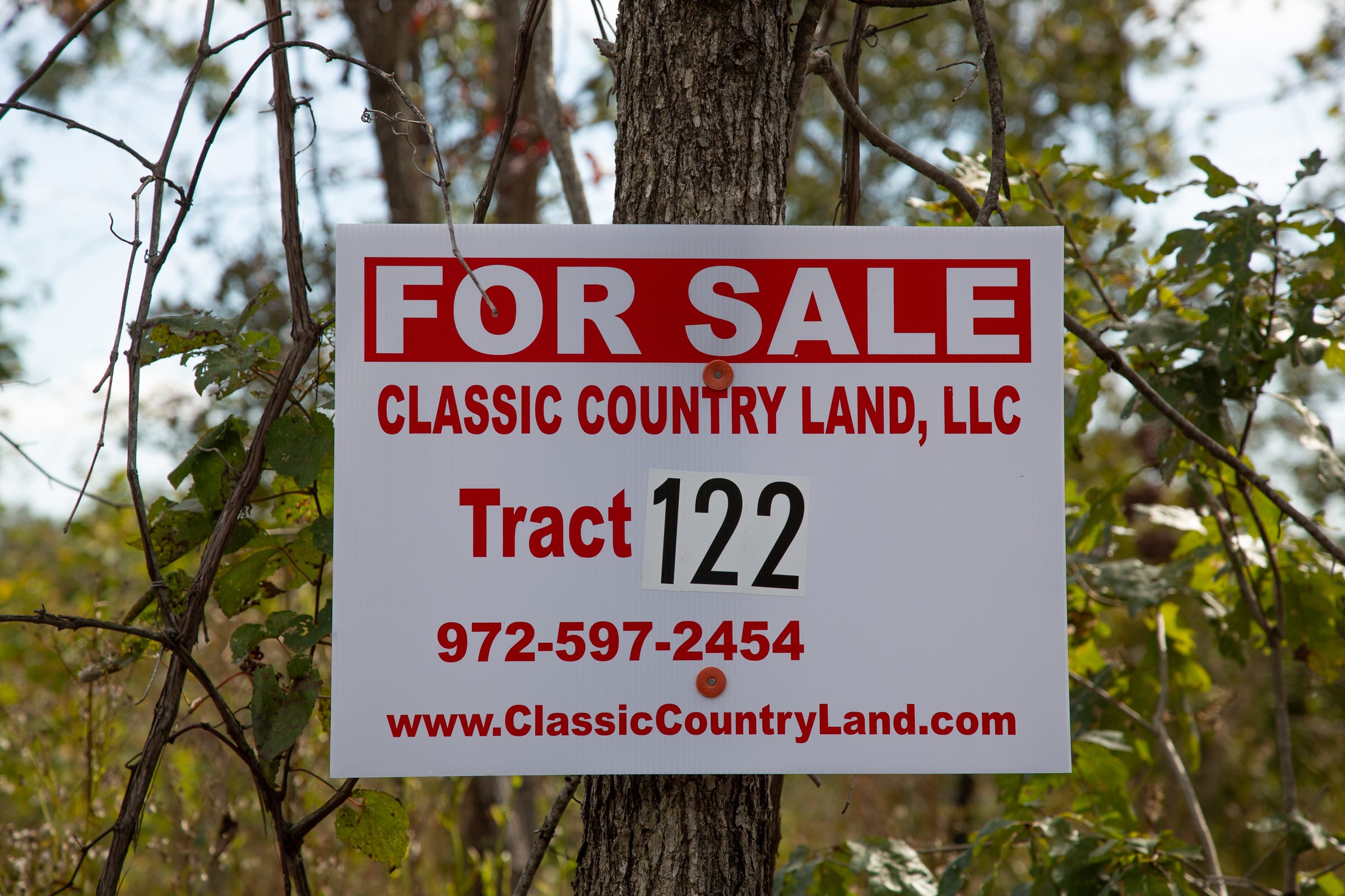 Borgmann’s Hollow Phase IV Tract 122 photo 1