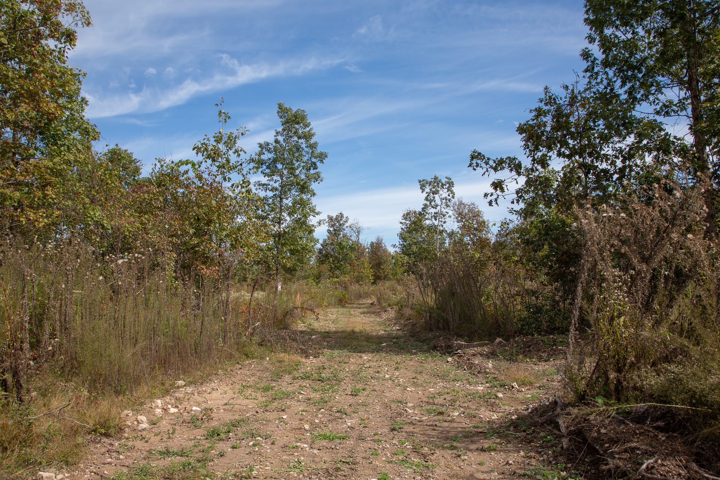 Borgmann’s Hollow Phase IV Tract 122 photo 2