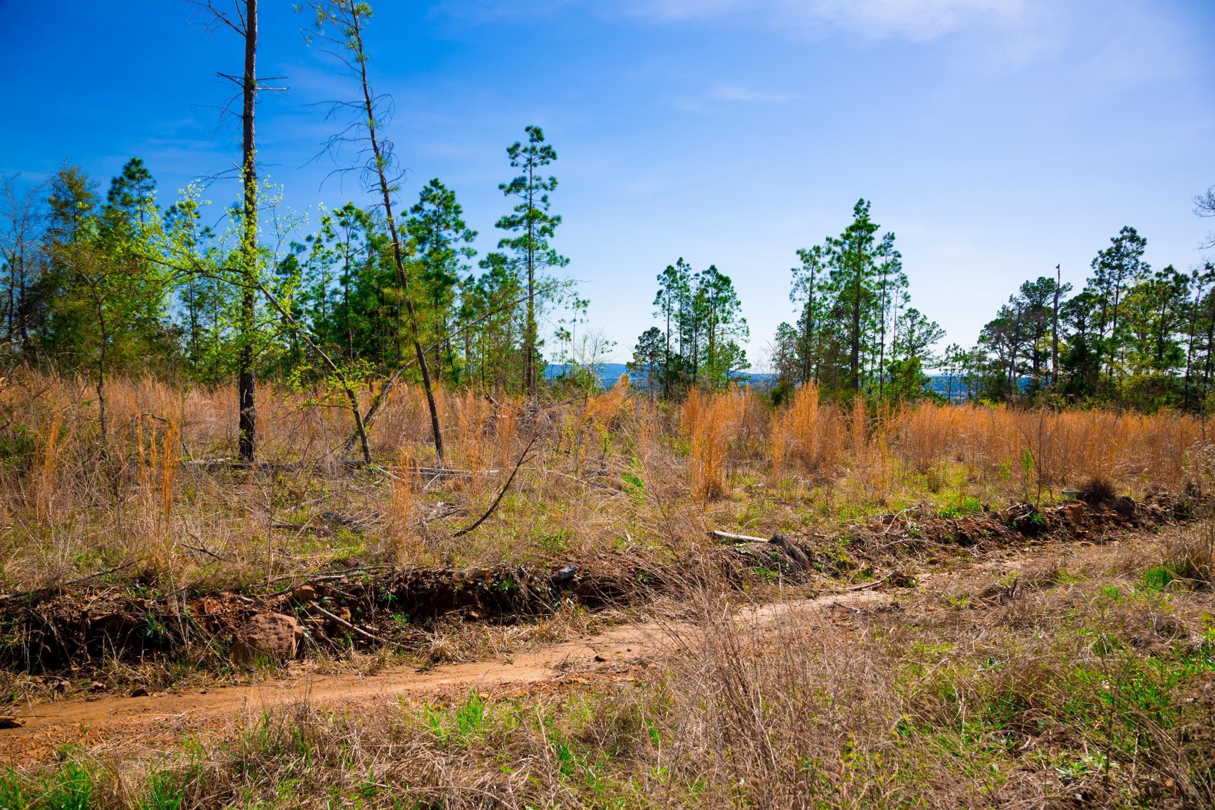 Stone Creek Phase II Tract 231 photo 3