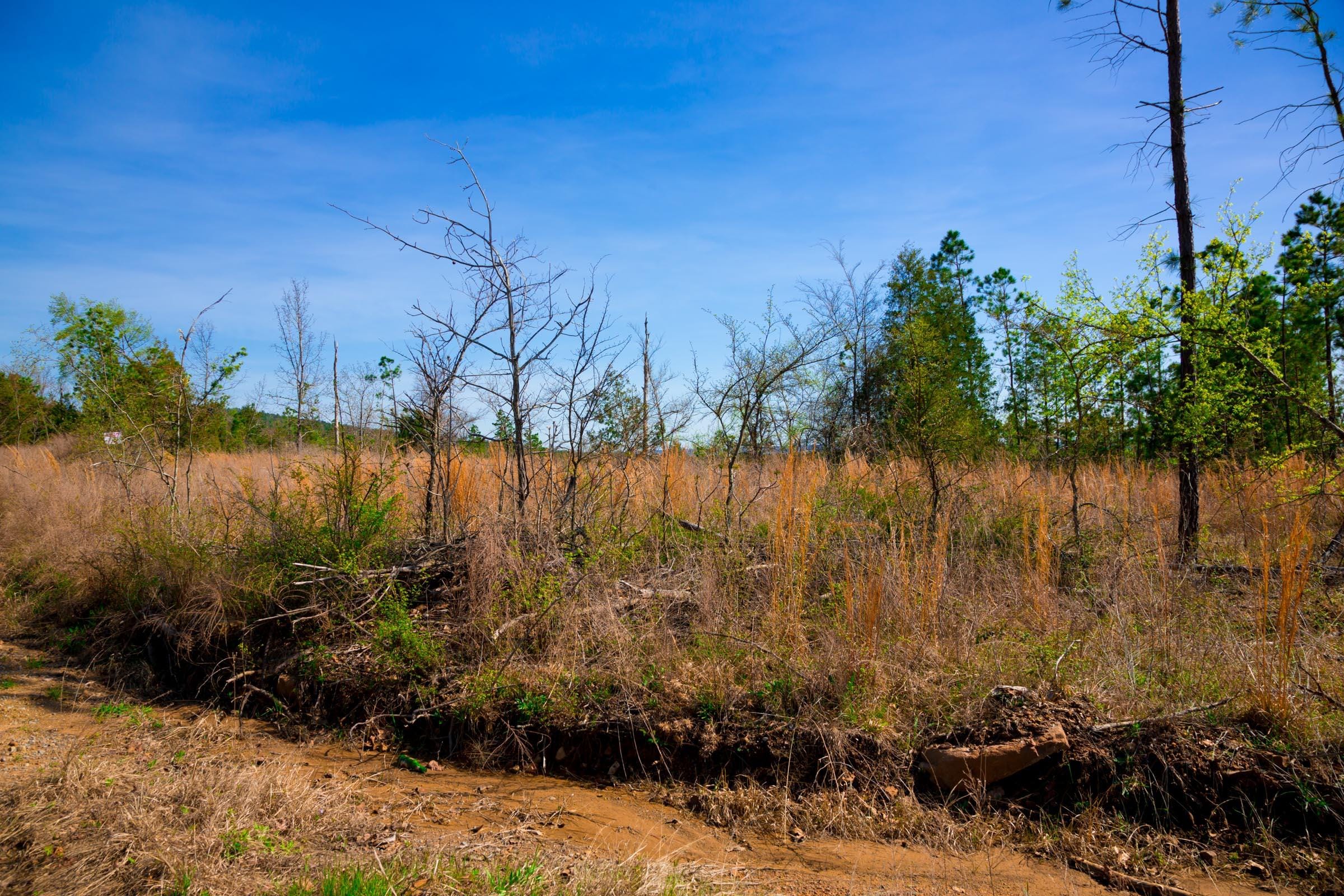 Stone Creek Phase II Tract 231 photo 4