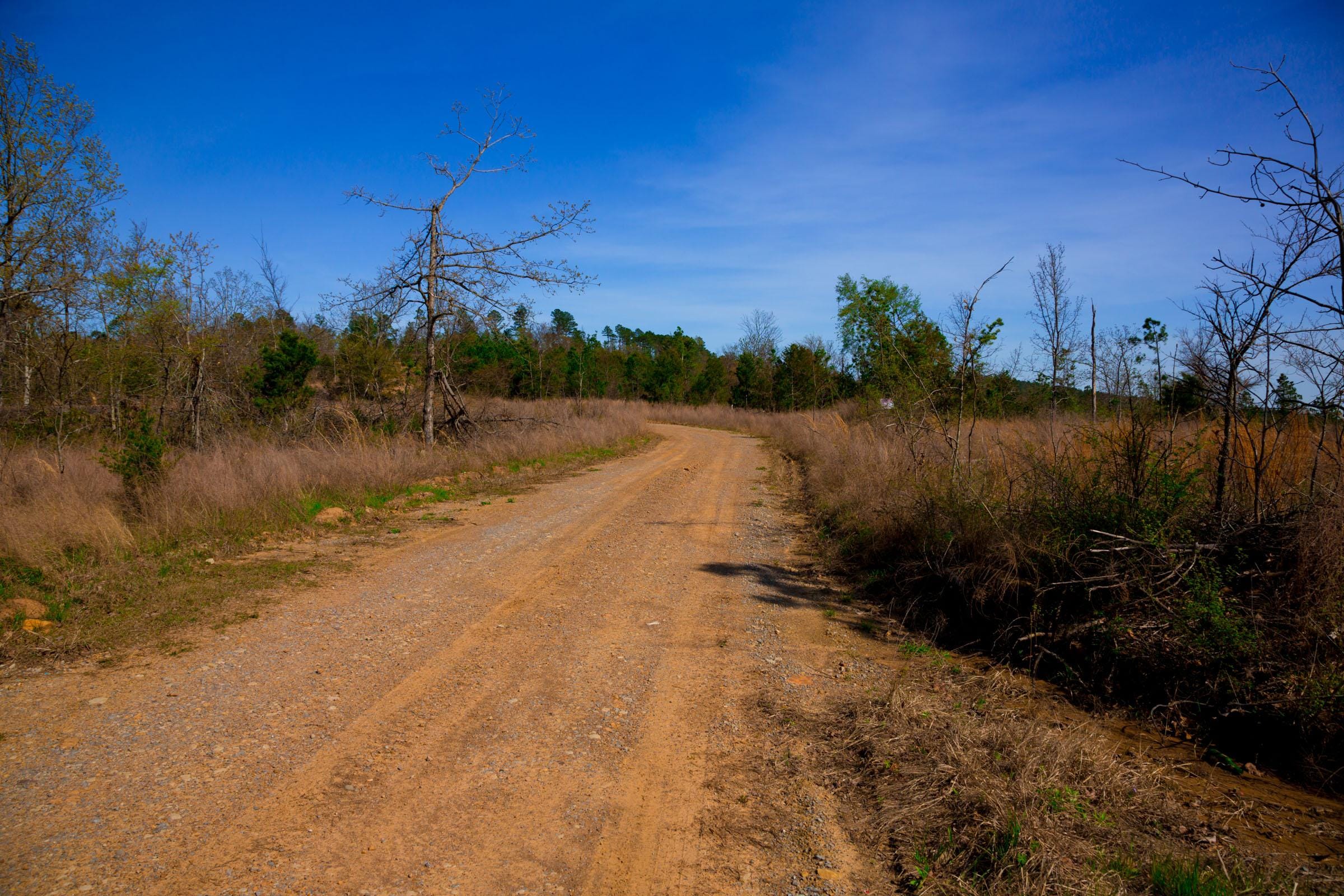 Stone Creek Phase II Tract 231 photo 2