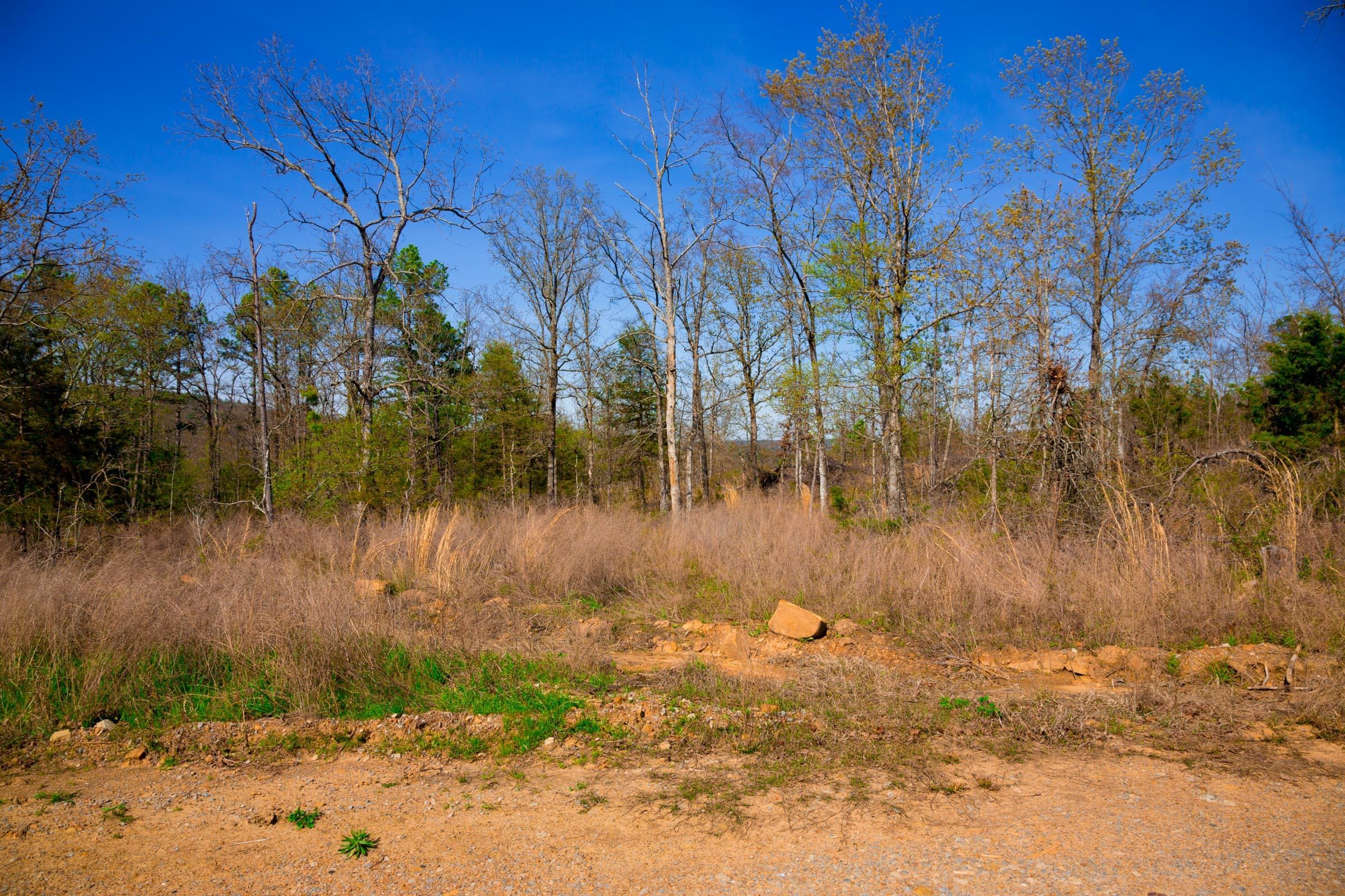 Stone Creek Phase II Tract 231 photo 5