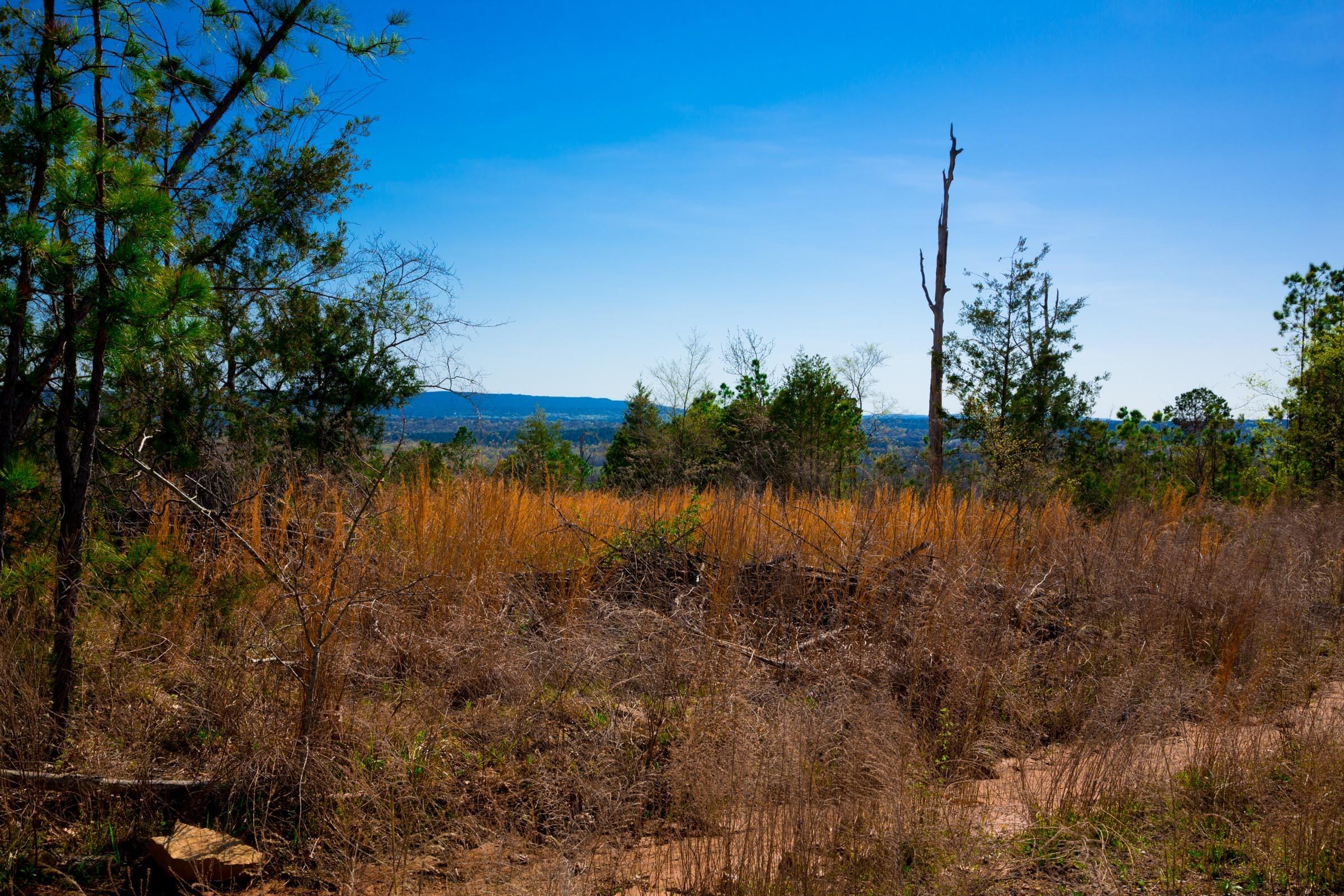 Stone Creek Phase II Tract 231 photo 6