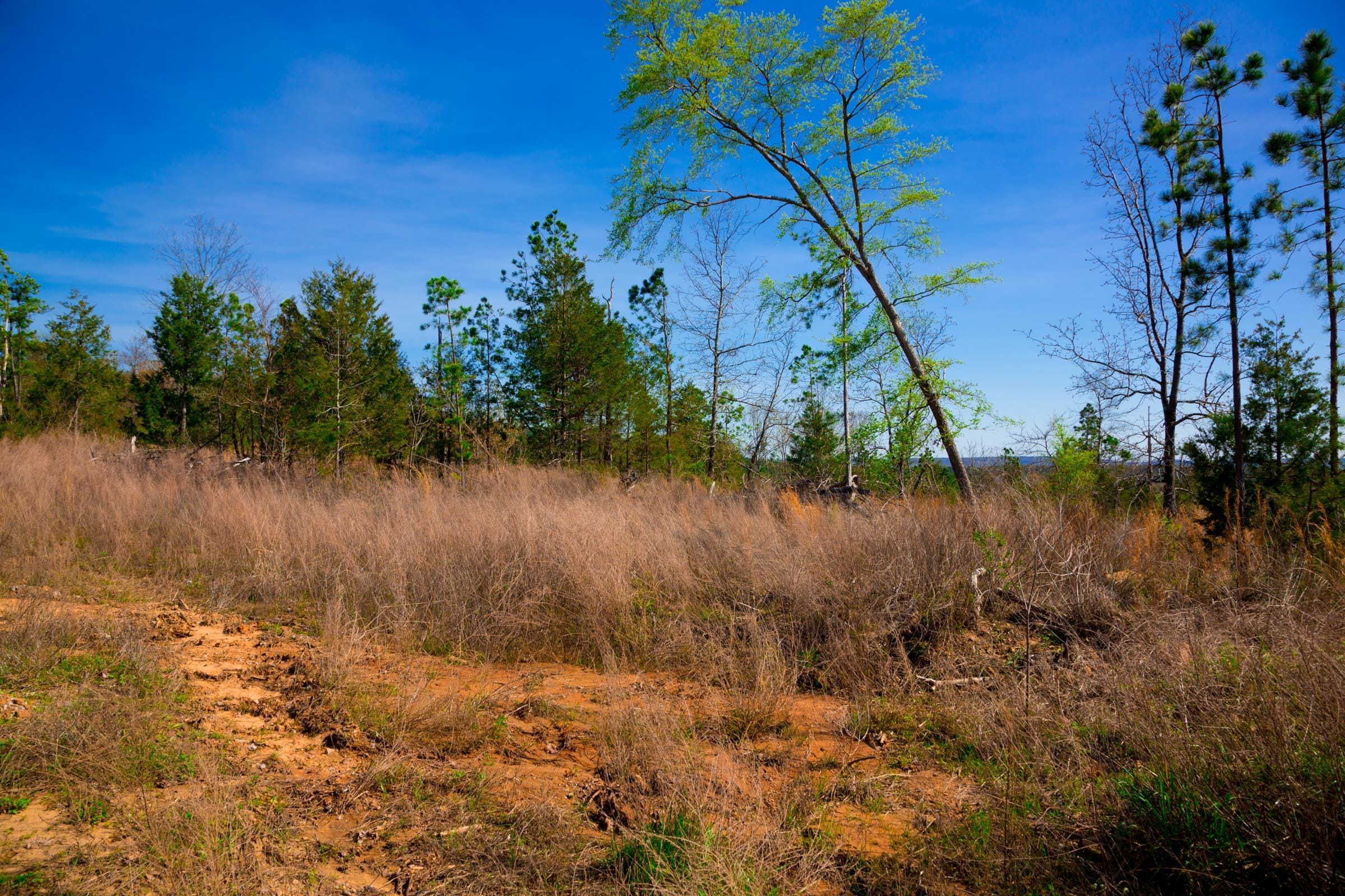 Stone Creek Phase II Tract 231 photo 7