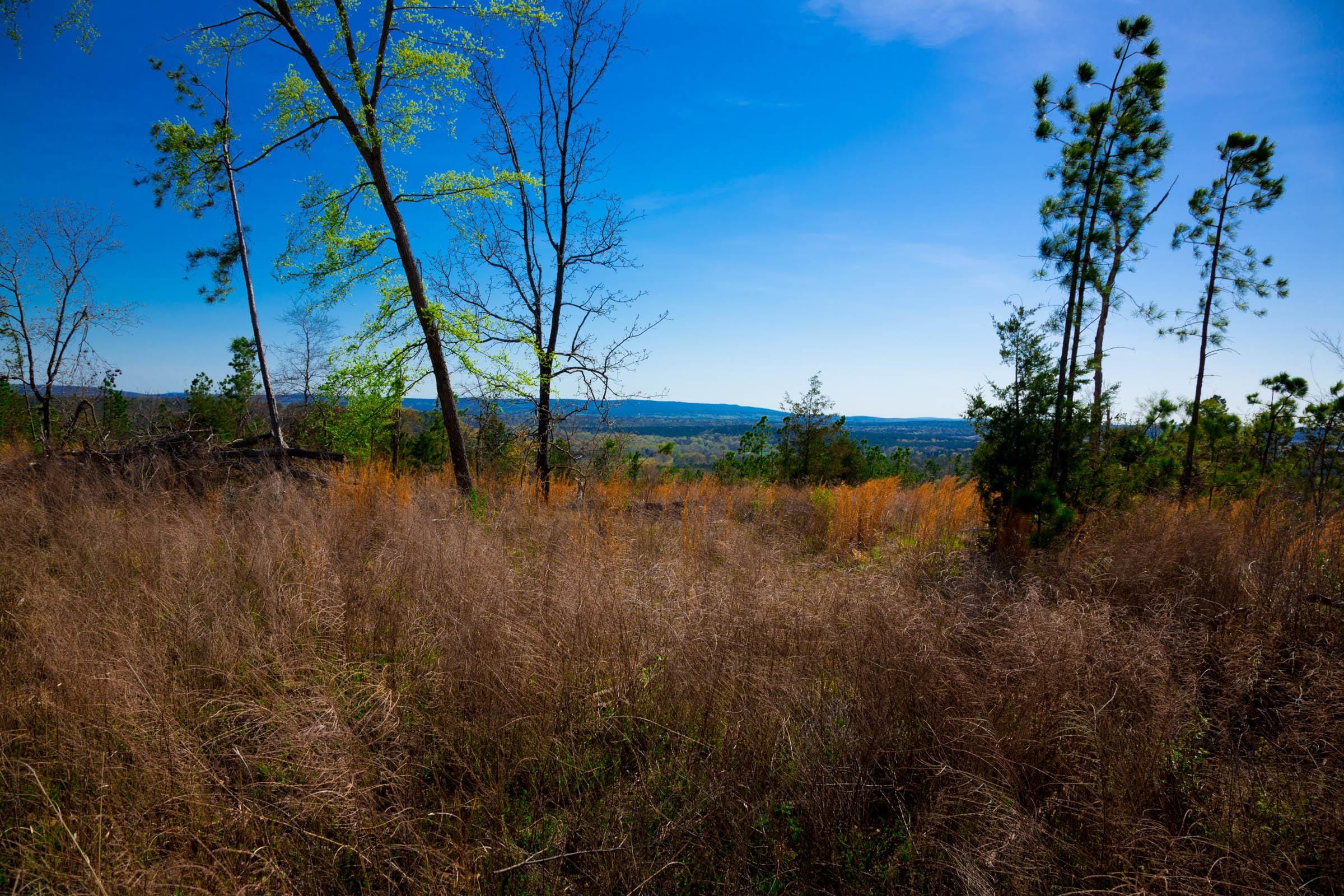 Stone Creek Phase II Tract 231 photo 9