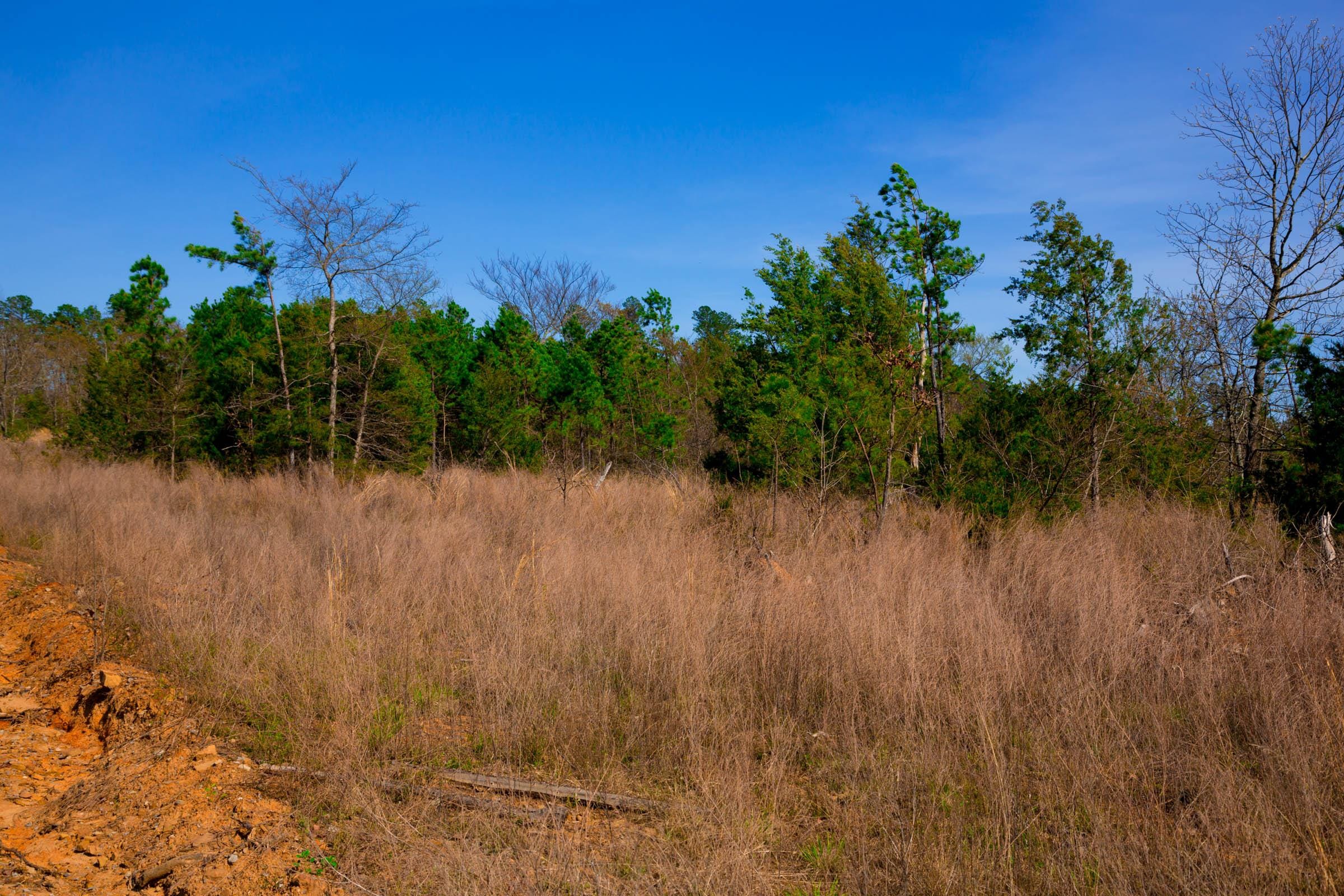 Stone Creek Phase II Tract 231 photo 10