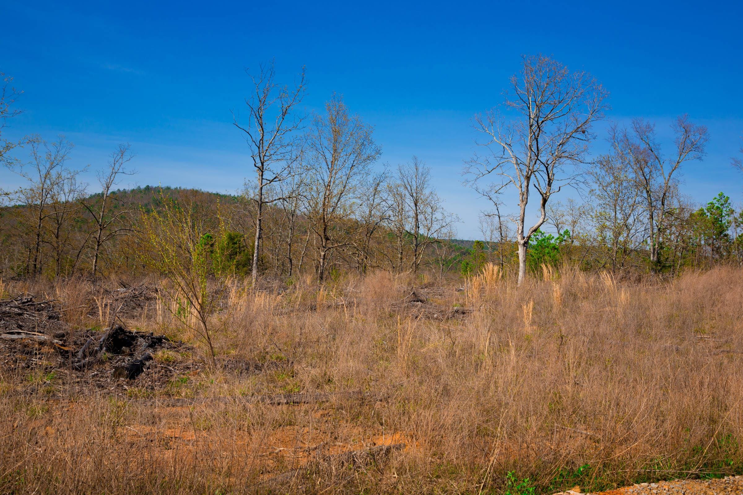 Stone Creek Phase II Tract 231 photo 11