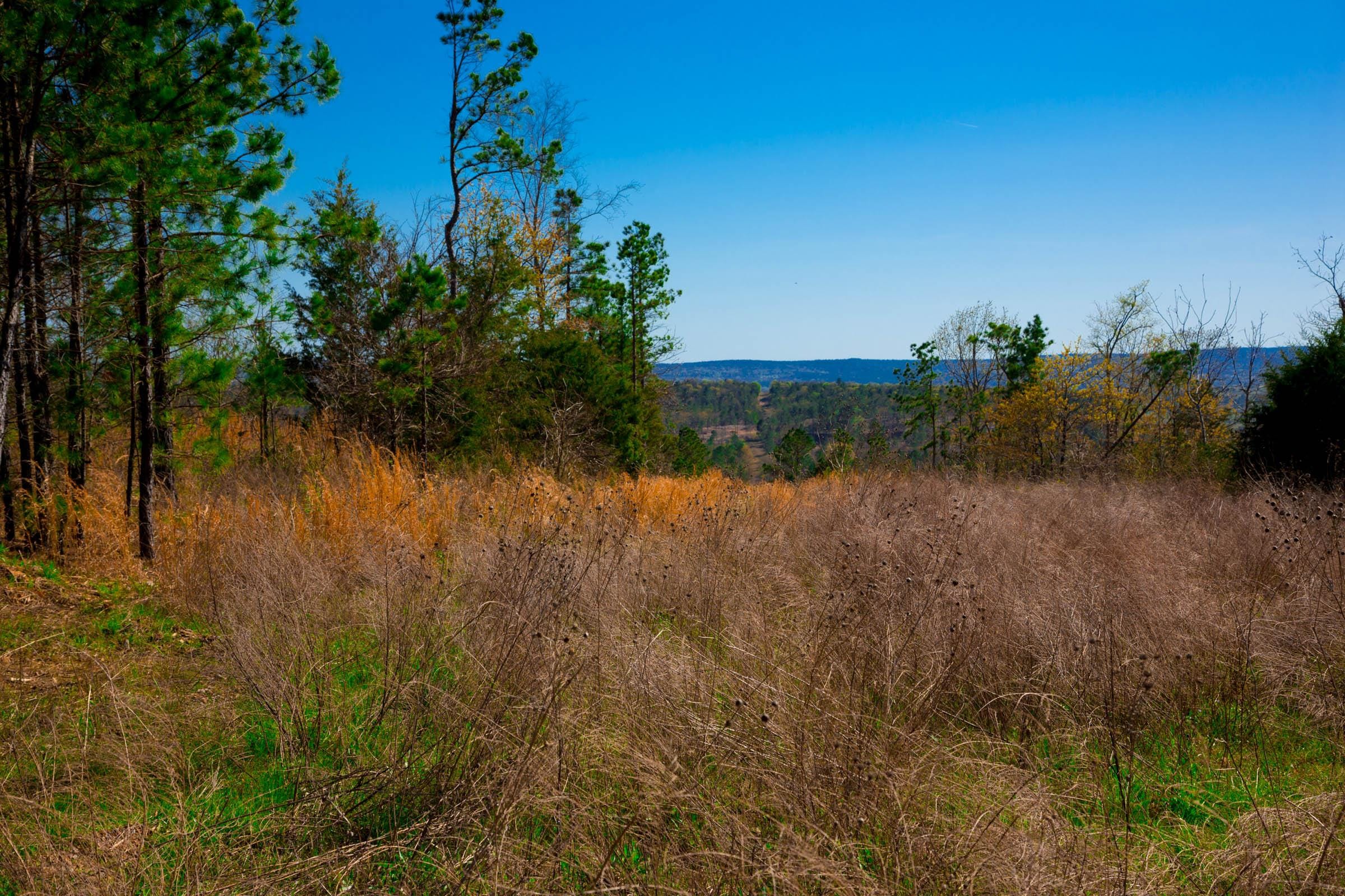 Stone Creek Phase II Tract 231 photo 12