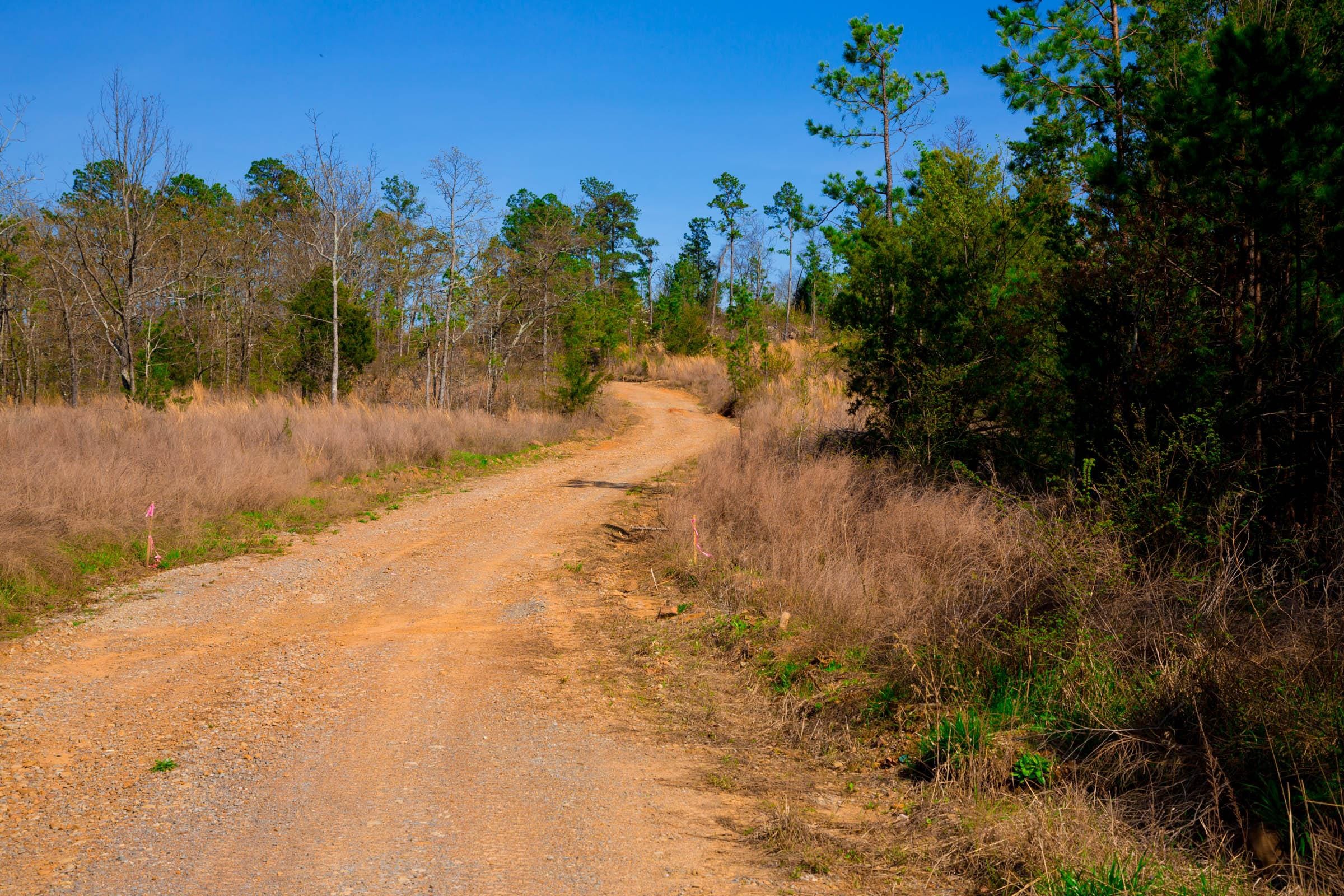 Stone Creek Phase II Tract 231 photo 8
