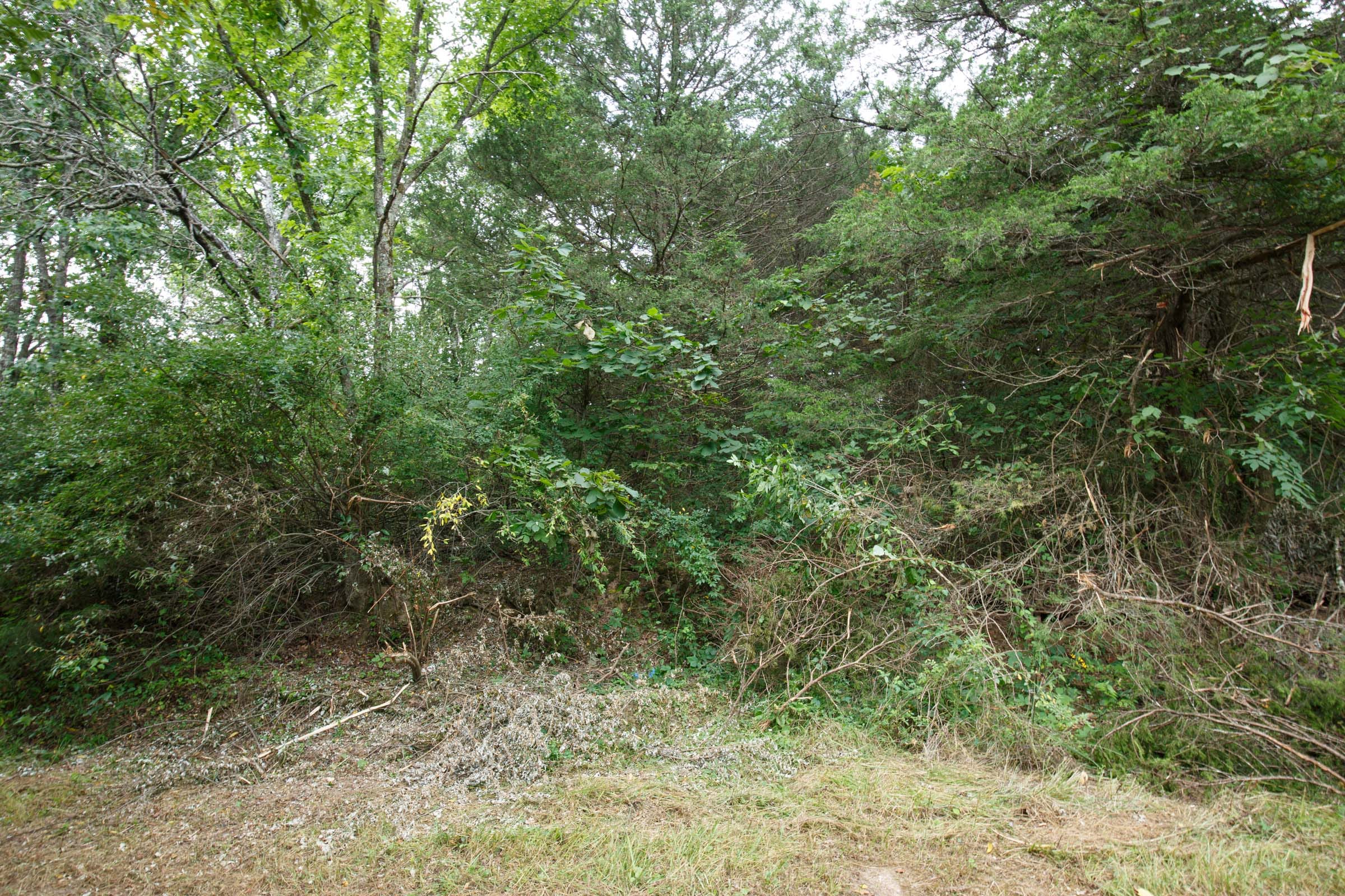 Spring Lake Plat 2 Tract 62 photo 2