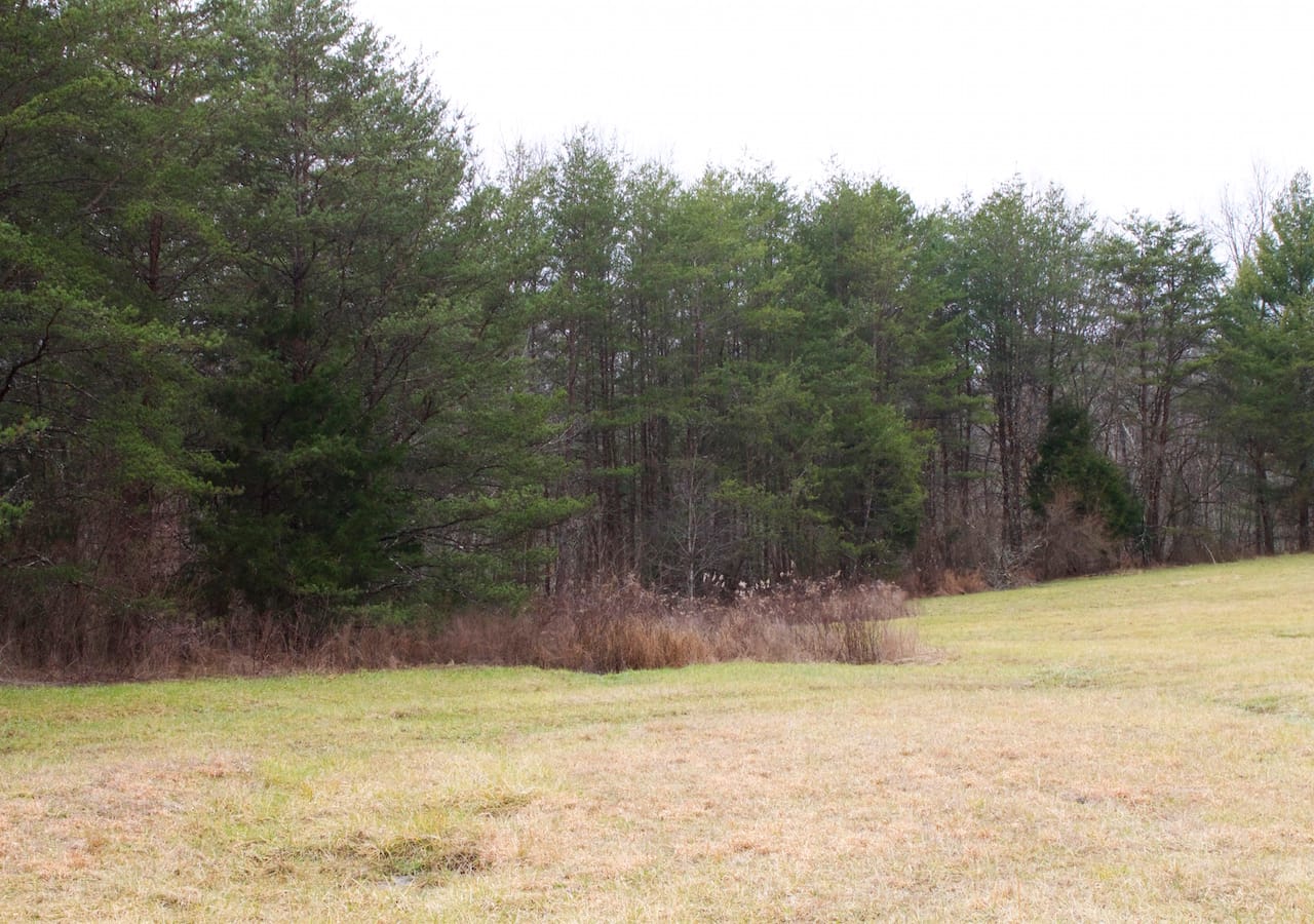 Majestic Rock Ranch Tract 4 photo 2
