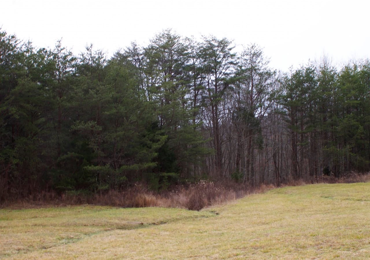 Majestic Rock Ranch Tract 4 photo 5