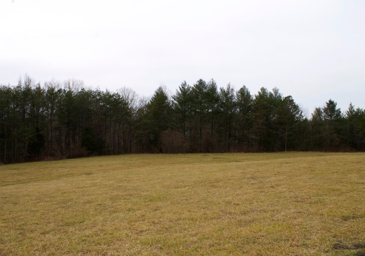 Majestic Rock Ranch Tract 4 photo 9