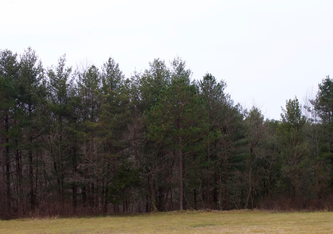 Majestic Rock Ranch Tract 4 photo 10