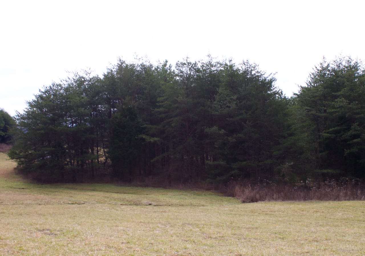 Majestic Rock Ranch Tract 4 photo 14