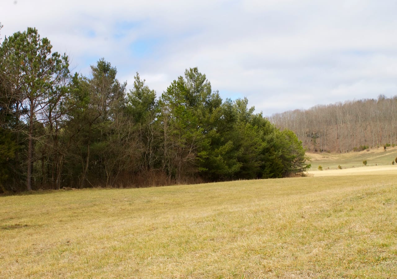 Majestic Rock Ranch Tract 4 photo 16