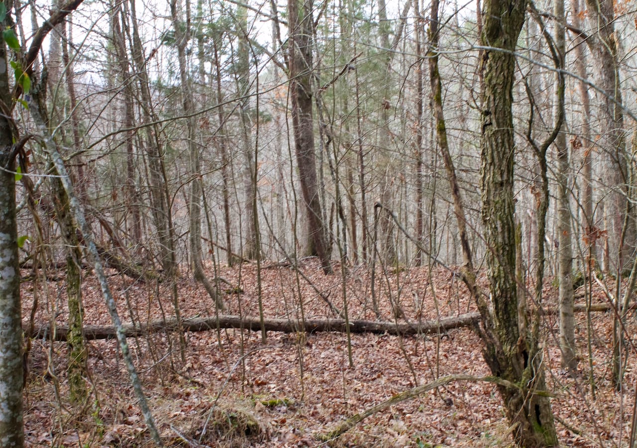 Majestic Rock Ranch Tract 4 photo 17