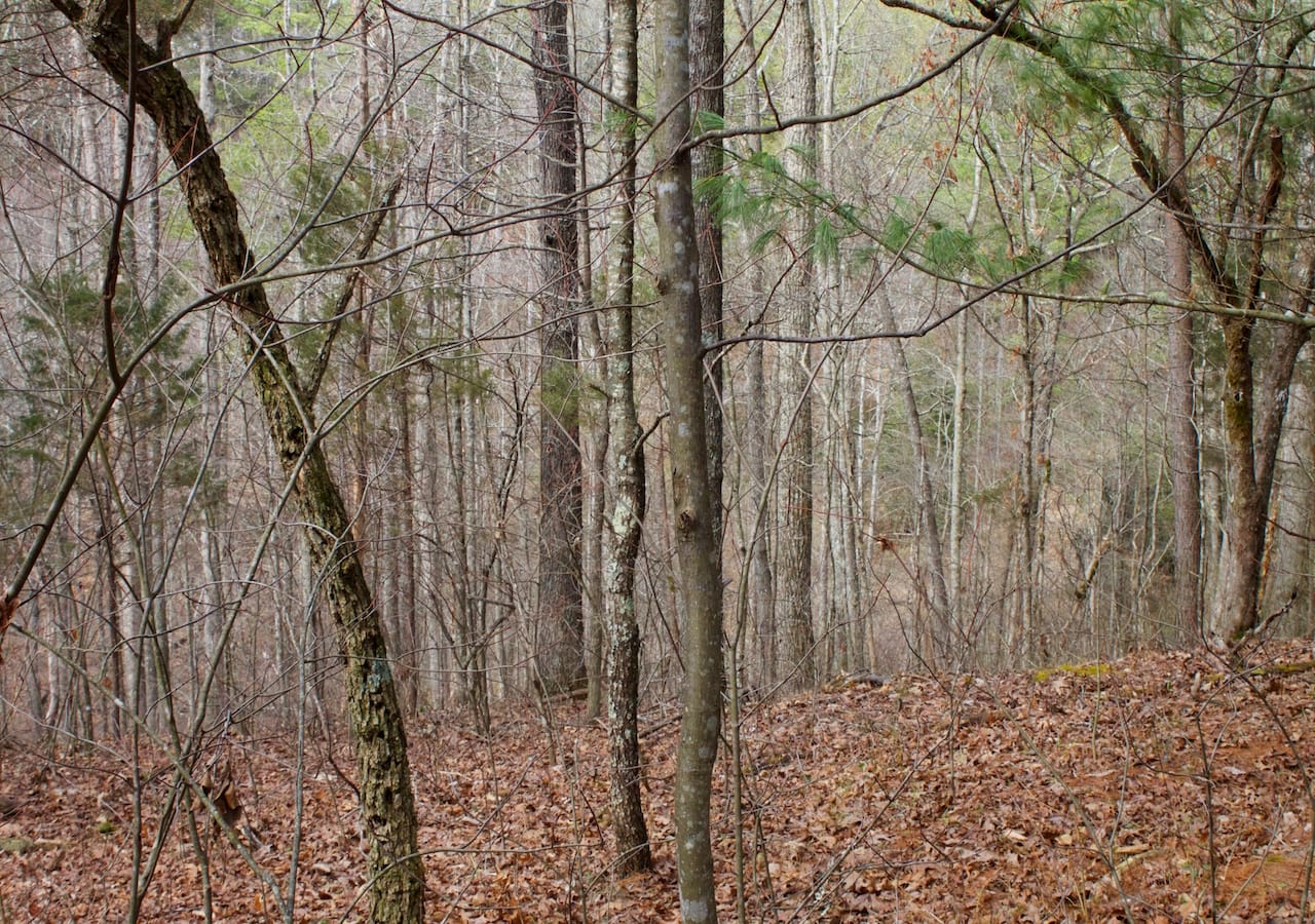 Majestic Rock Ranch Tract 4 photo 18