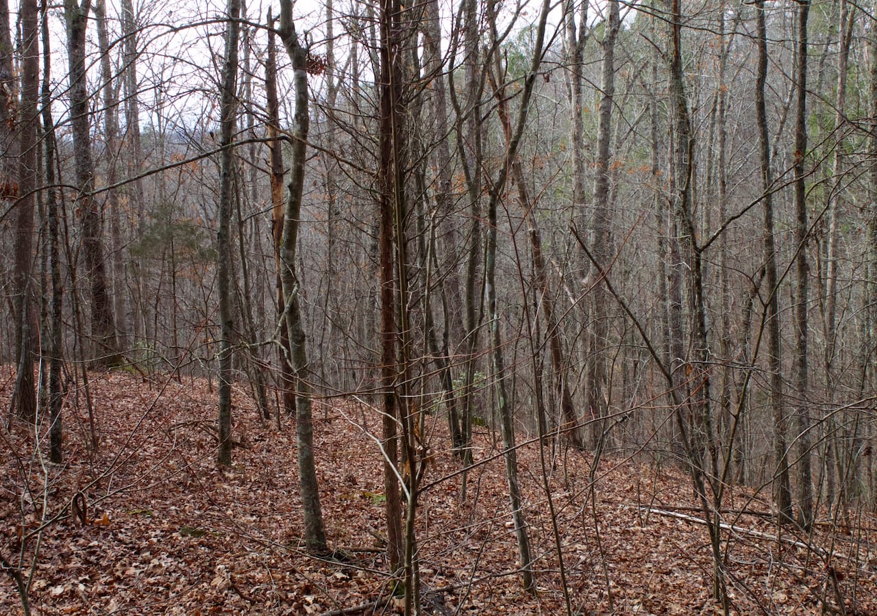 Majestic Rock Ranch Tract 4 photo 19