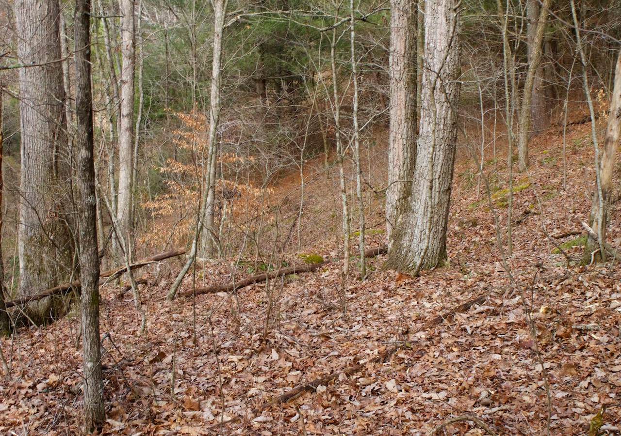 Majestic Rock Ranch Tract 4 photo 20