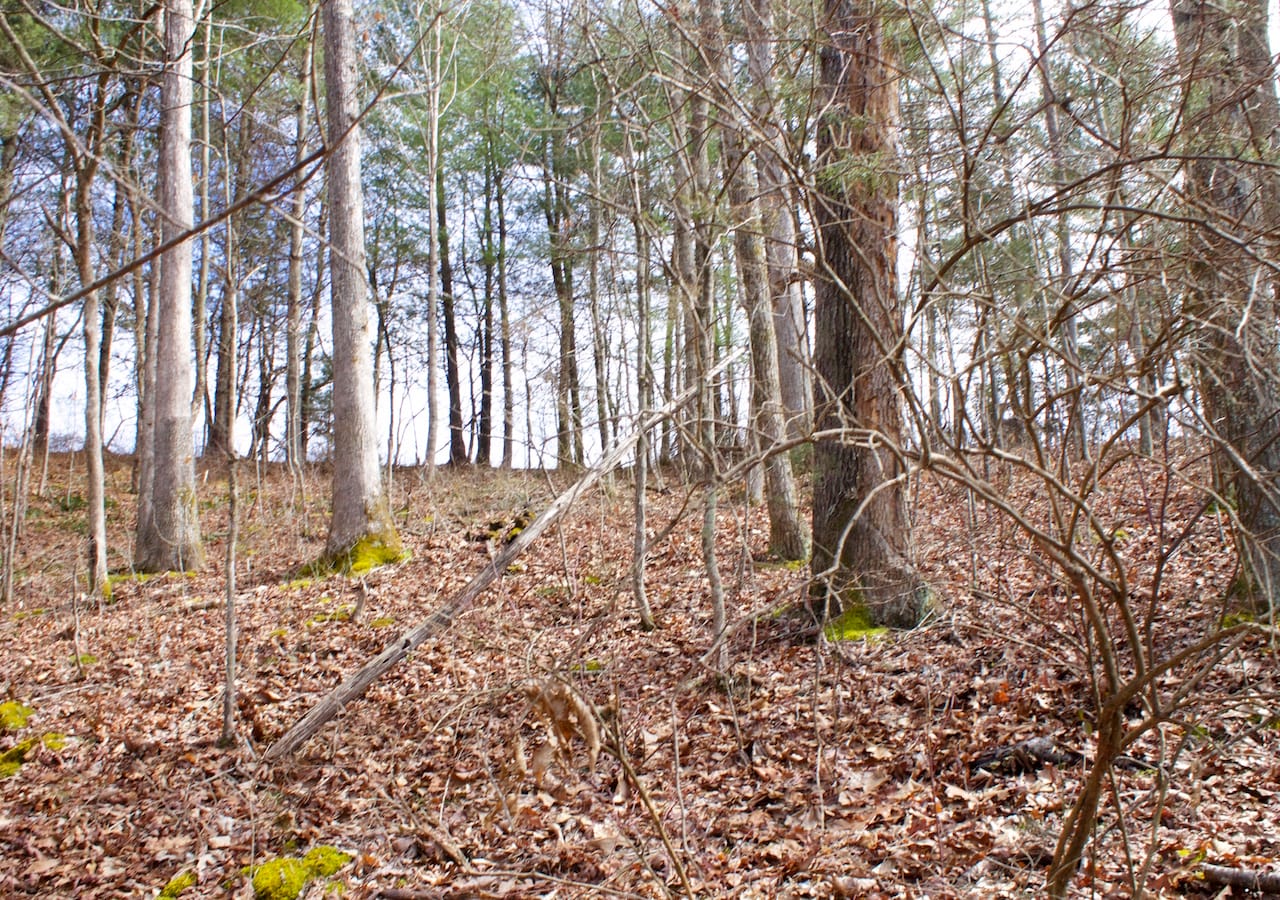 Majestic Rock Ranch Tract 4 photo 23