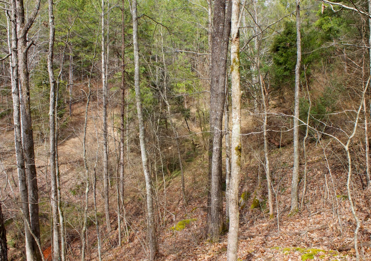 Majestic Rock Ranch Tract 4 photo 24