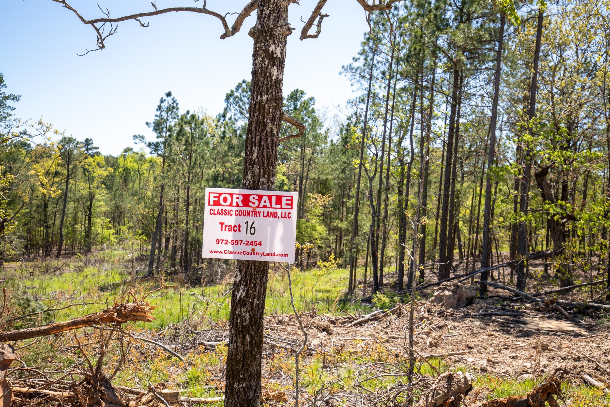 Eagle’s Nest Tract 16 photo 1