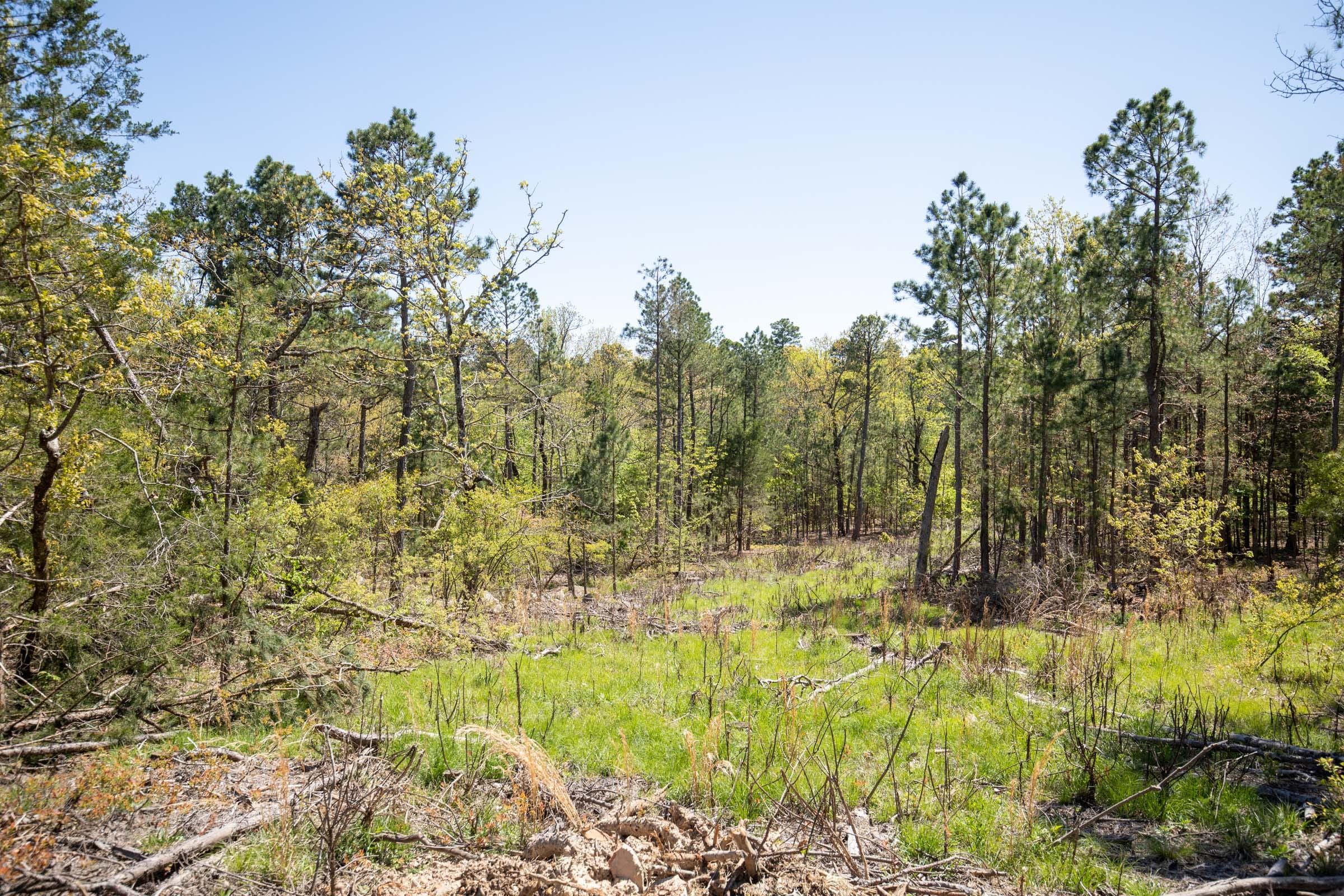 Eagle’s Nest Tract 16 photo 3